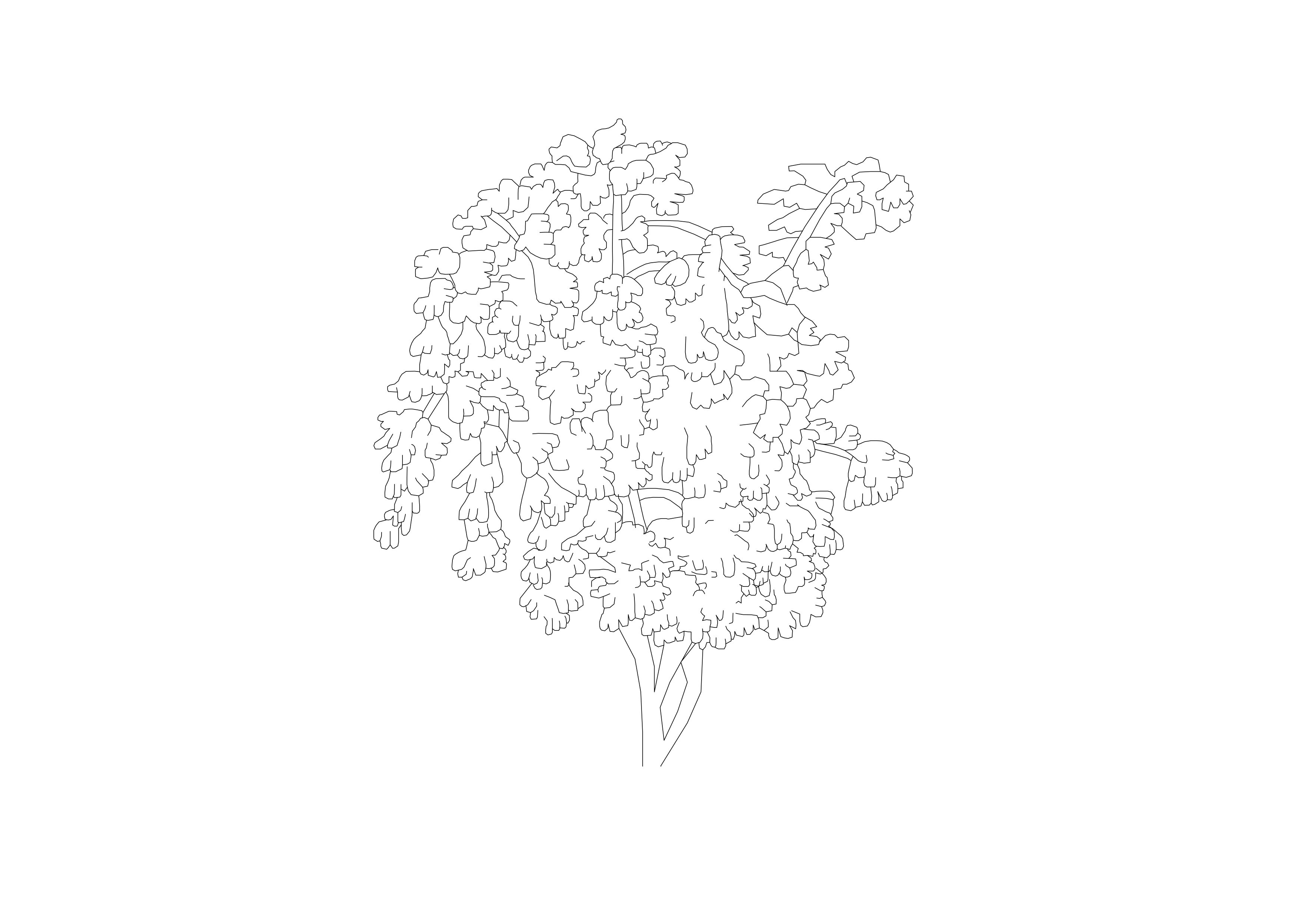 Free Plant Elevation CAD Block – DWG, DXF, PDF Format