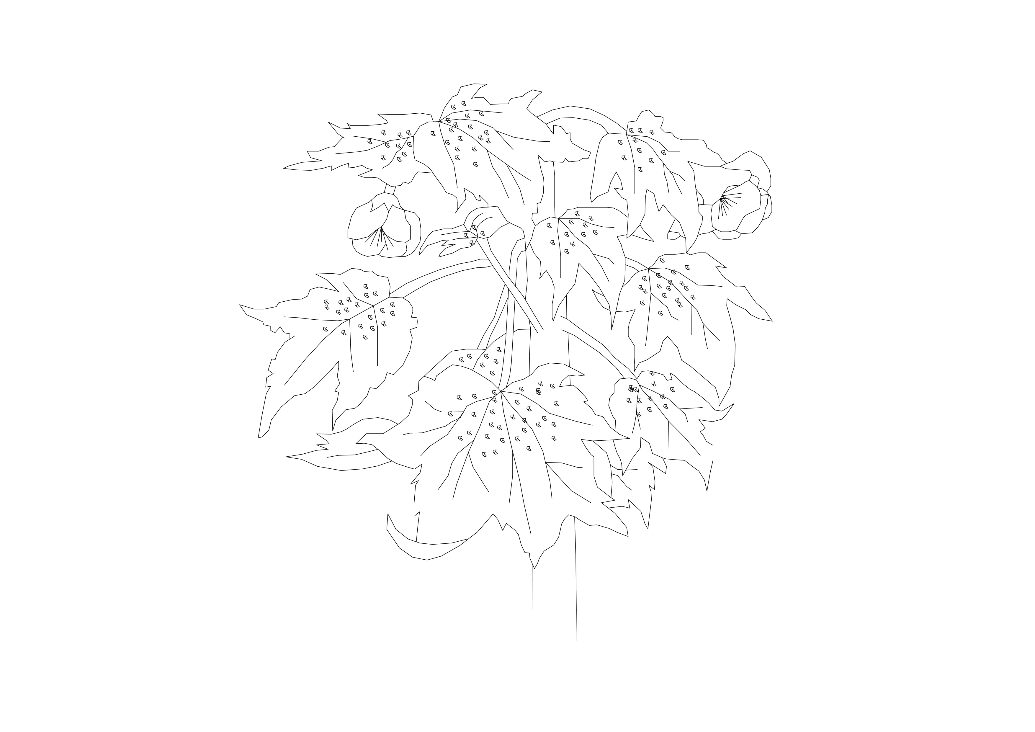 Free Plant Elevation CAD Block – DWG, DXF, PDF Format