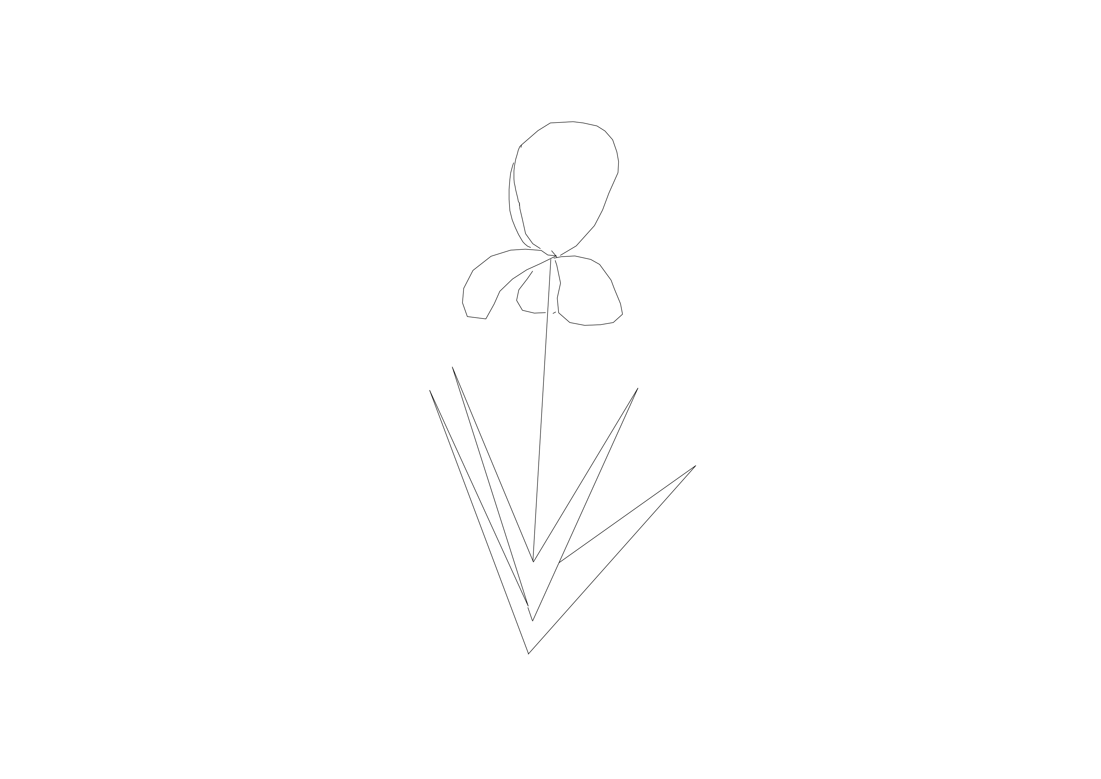 Free Plant Top View CAD Block – DWG, DXF, PDF Format