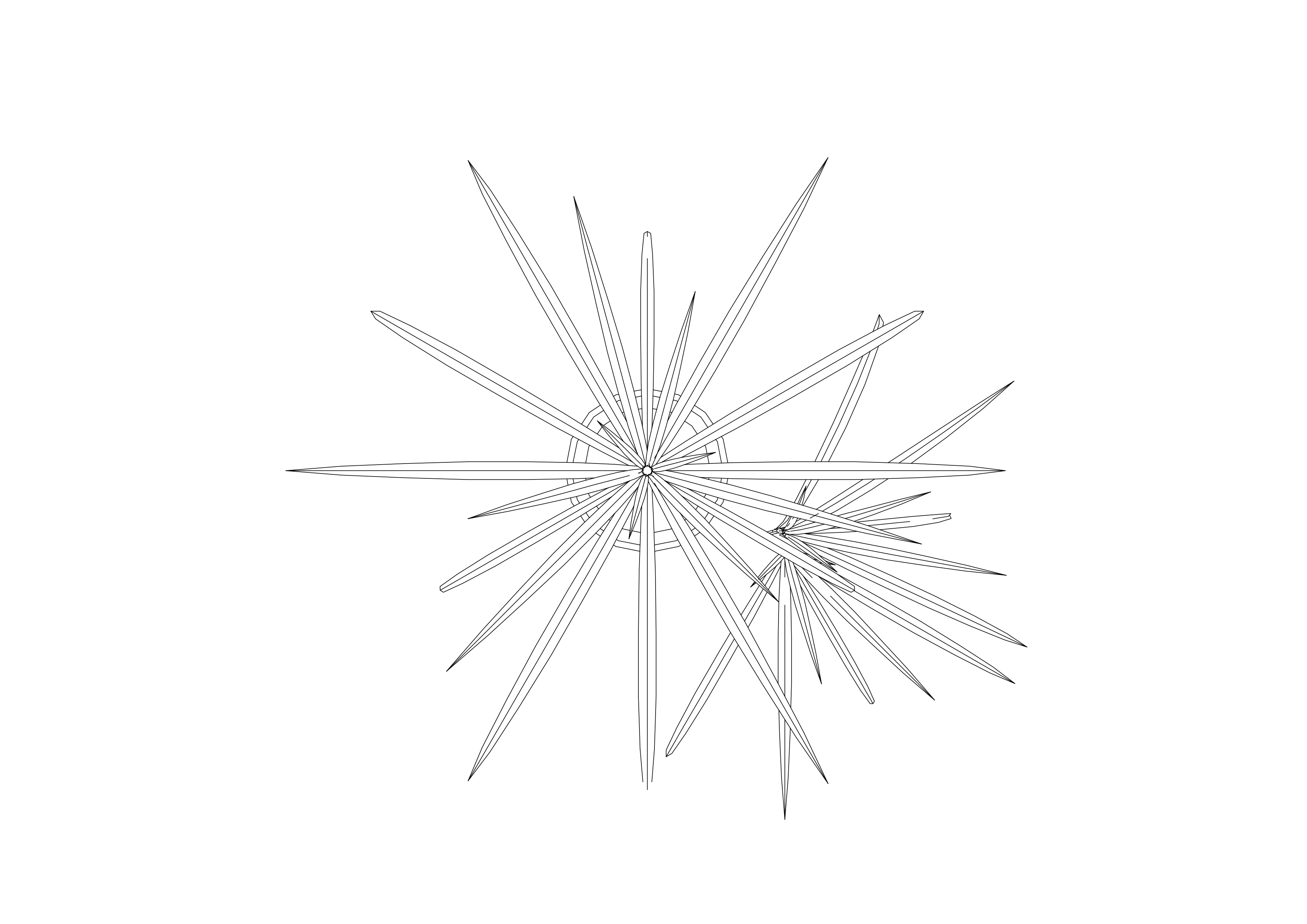 Free Plant Top View CAD Block – DWG, DXF, PDF Format