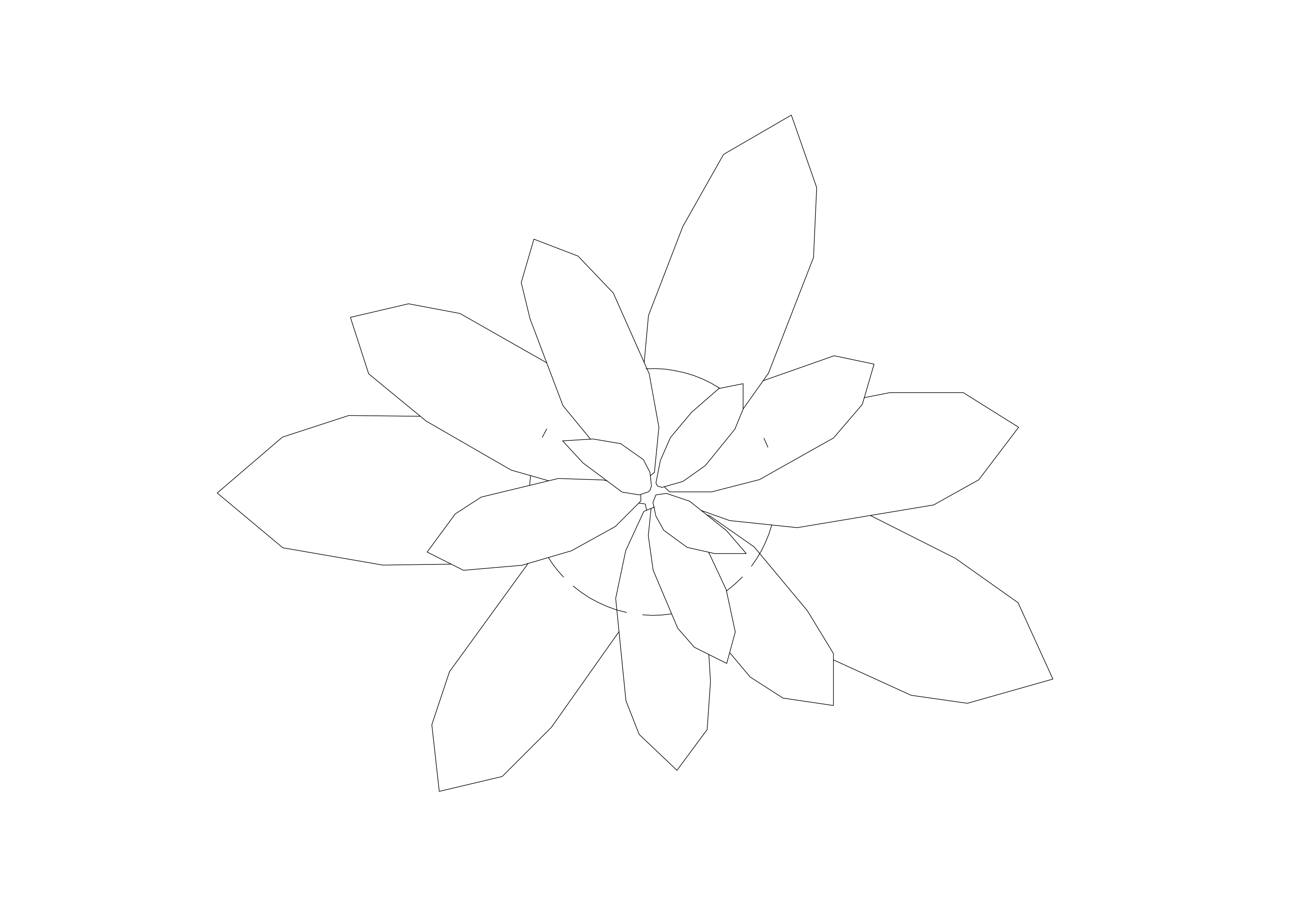 Free Plant Top View CAD Block – DWG, DXF, PDF Format