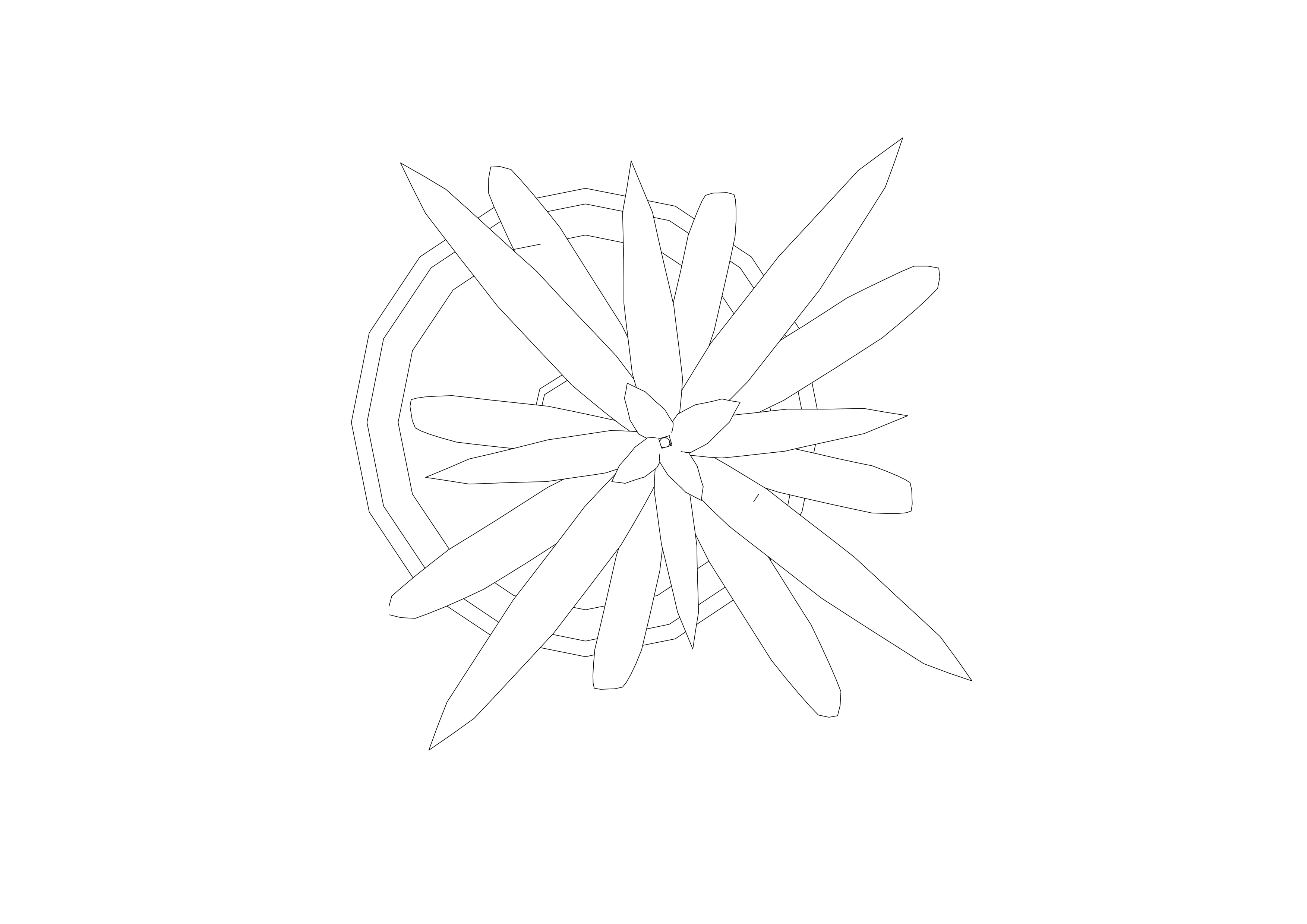 Free Plant Top View CAD Block – DWG, DXF, PDF Format