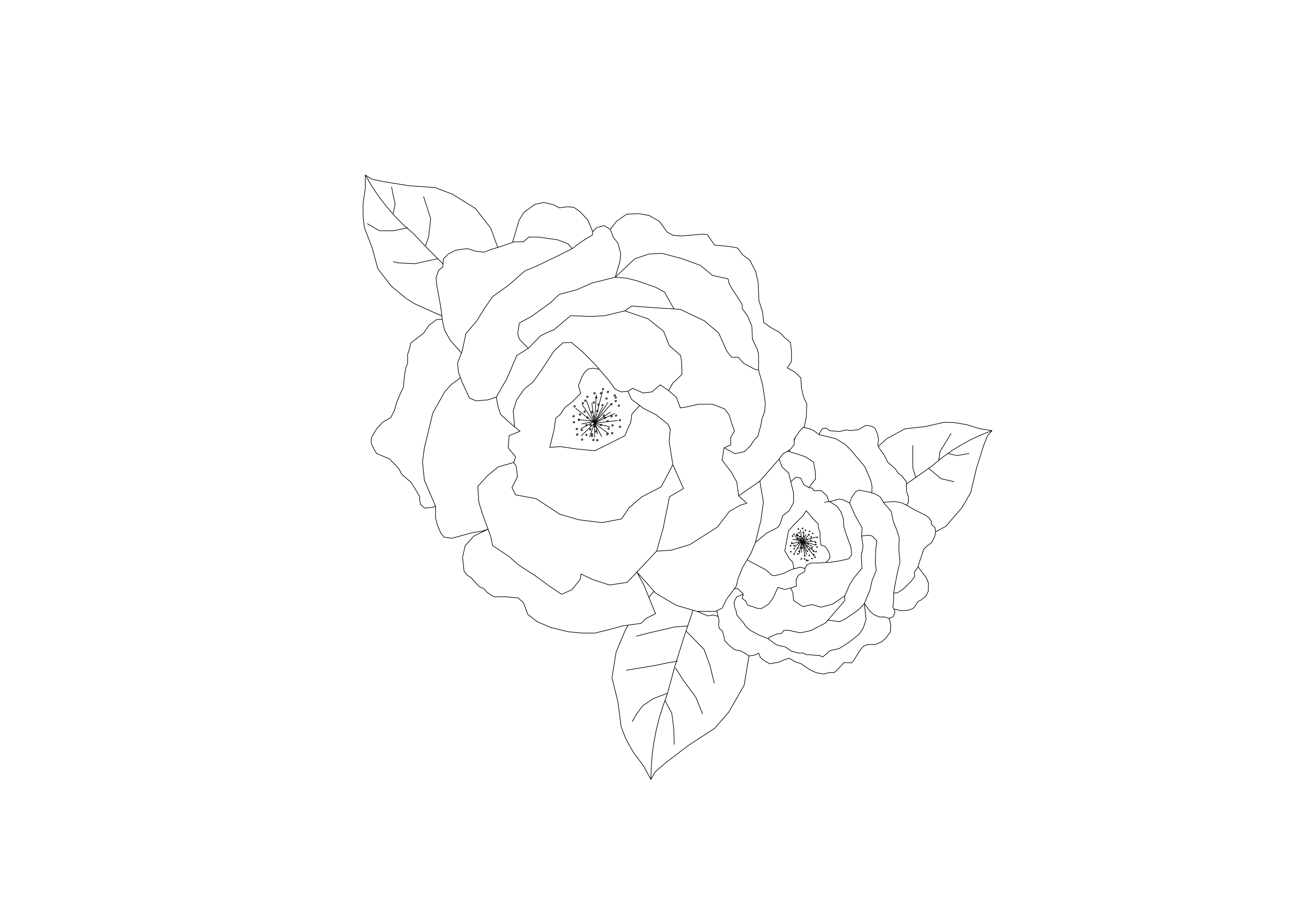 Free Plant Top View CAD Block – DWG, DXF, PDF Format