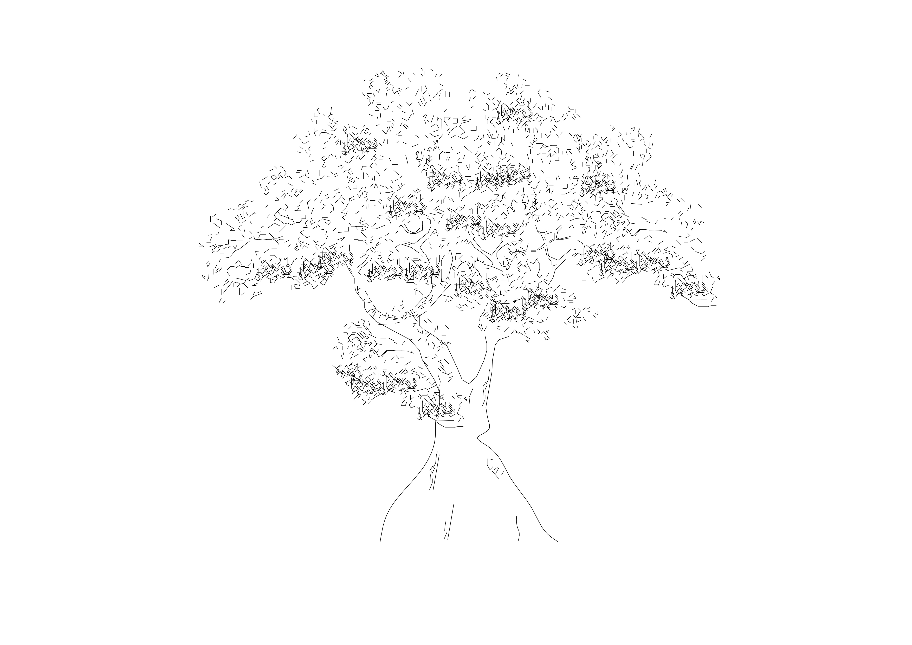 Free Tree Elevation CAD Block – DWG, DXF, PDF Format