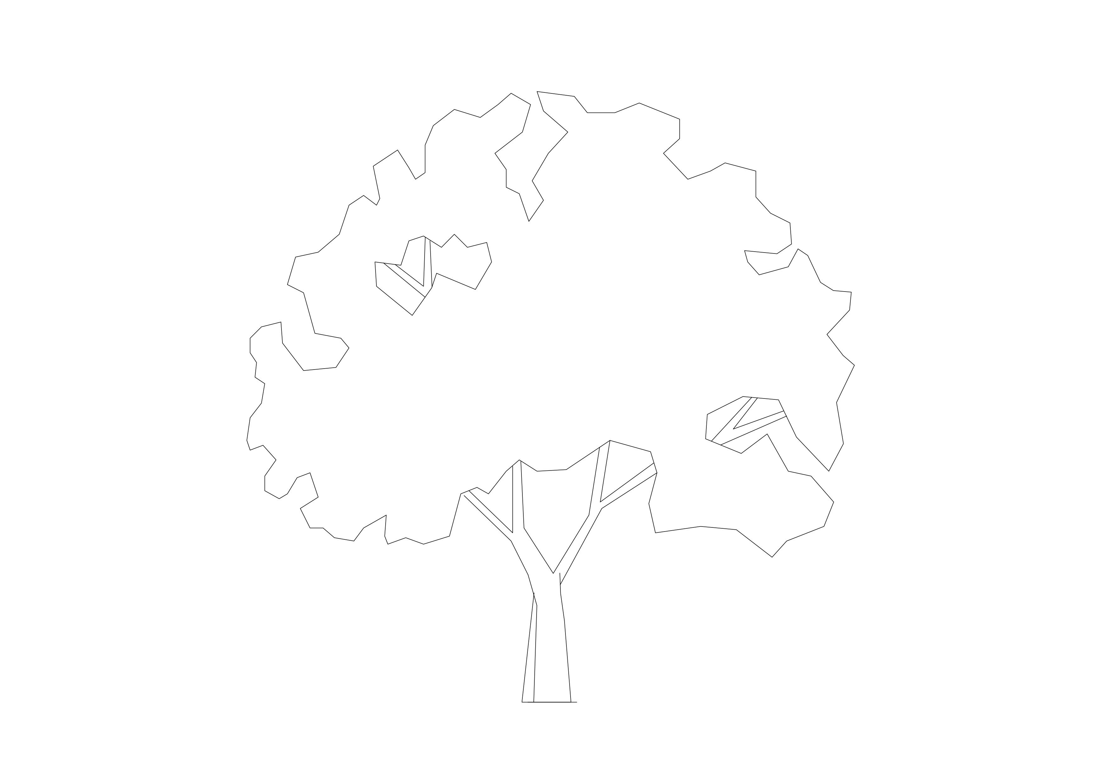 Free Tree Elevation CAD Block – DWG, DXF, PDF Format