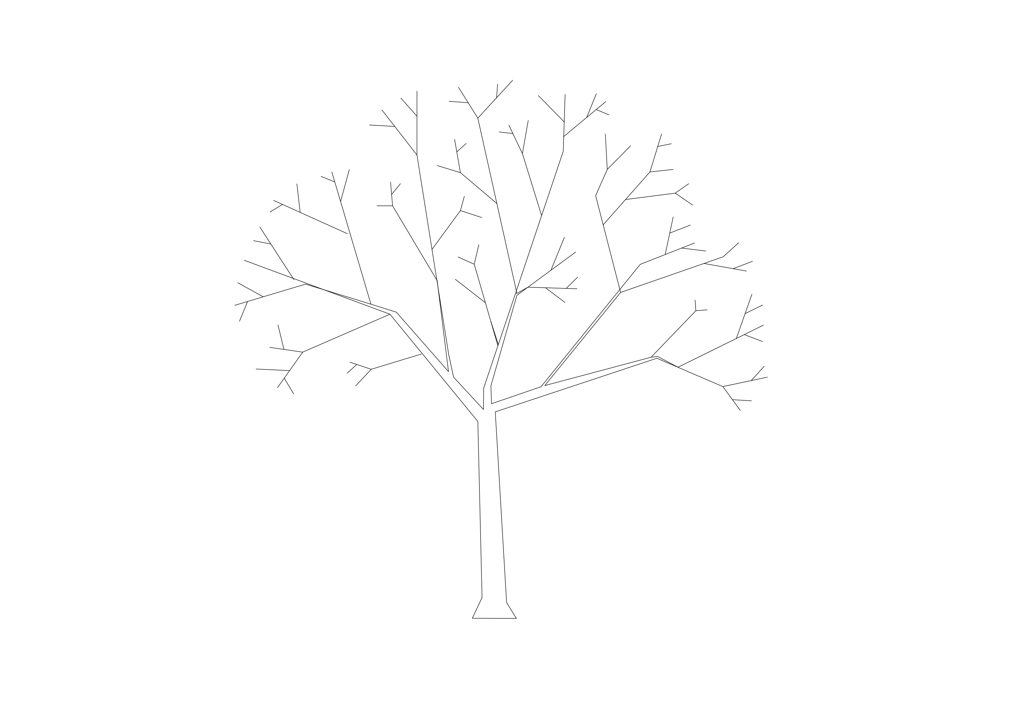 Free Tree Elevation CAD Block – DWG, DXF, PDF Format