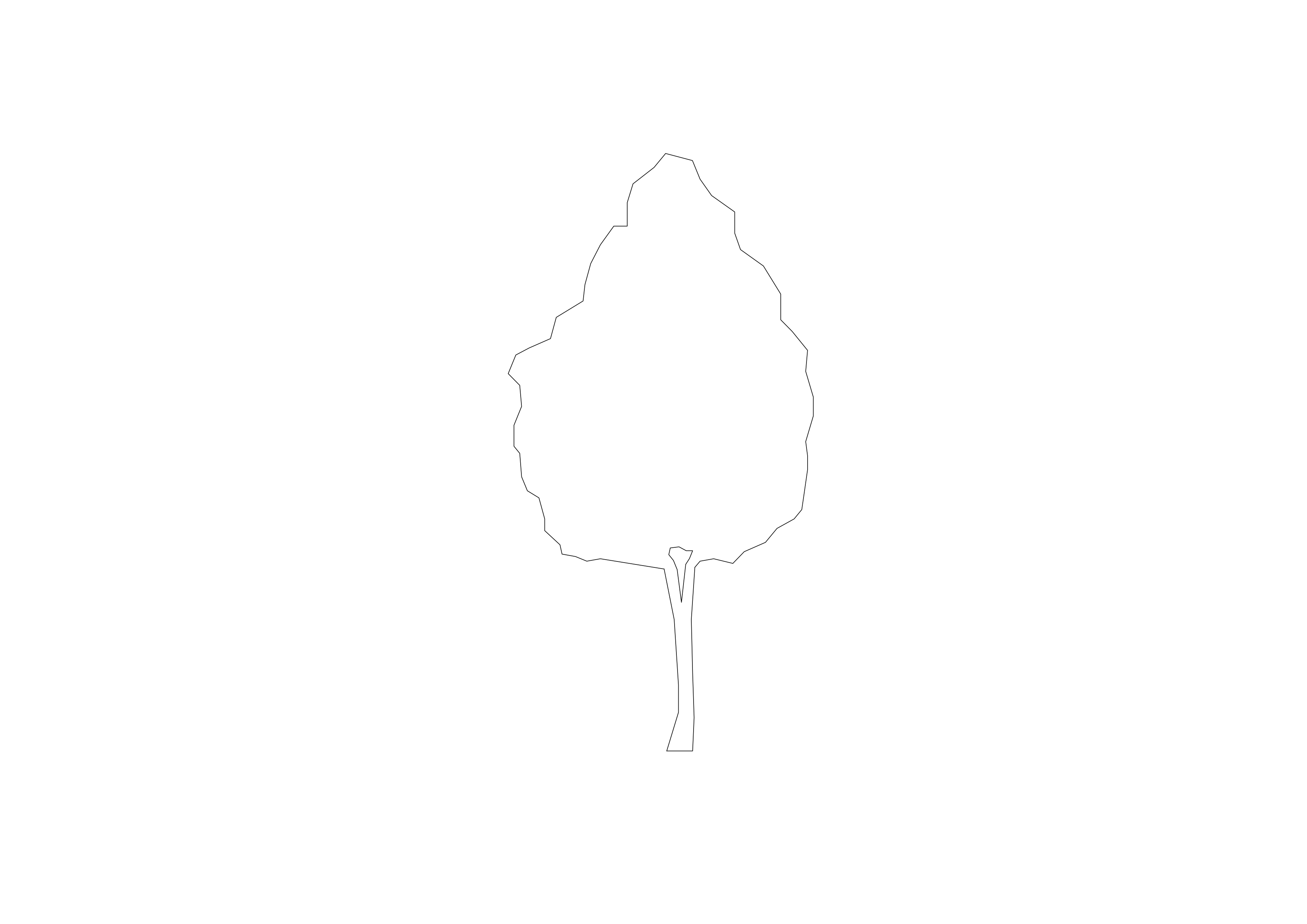 Free Tree Elevation CAD Block – DWG, DXF, PDF Format