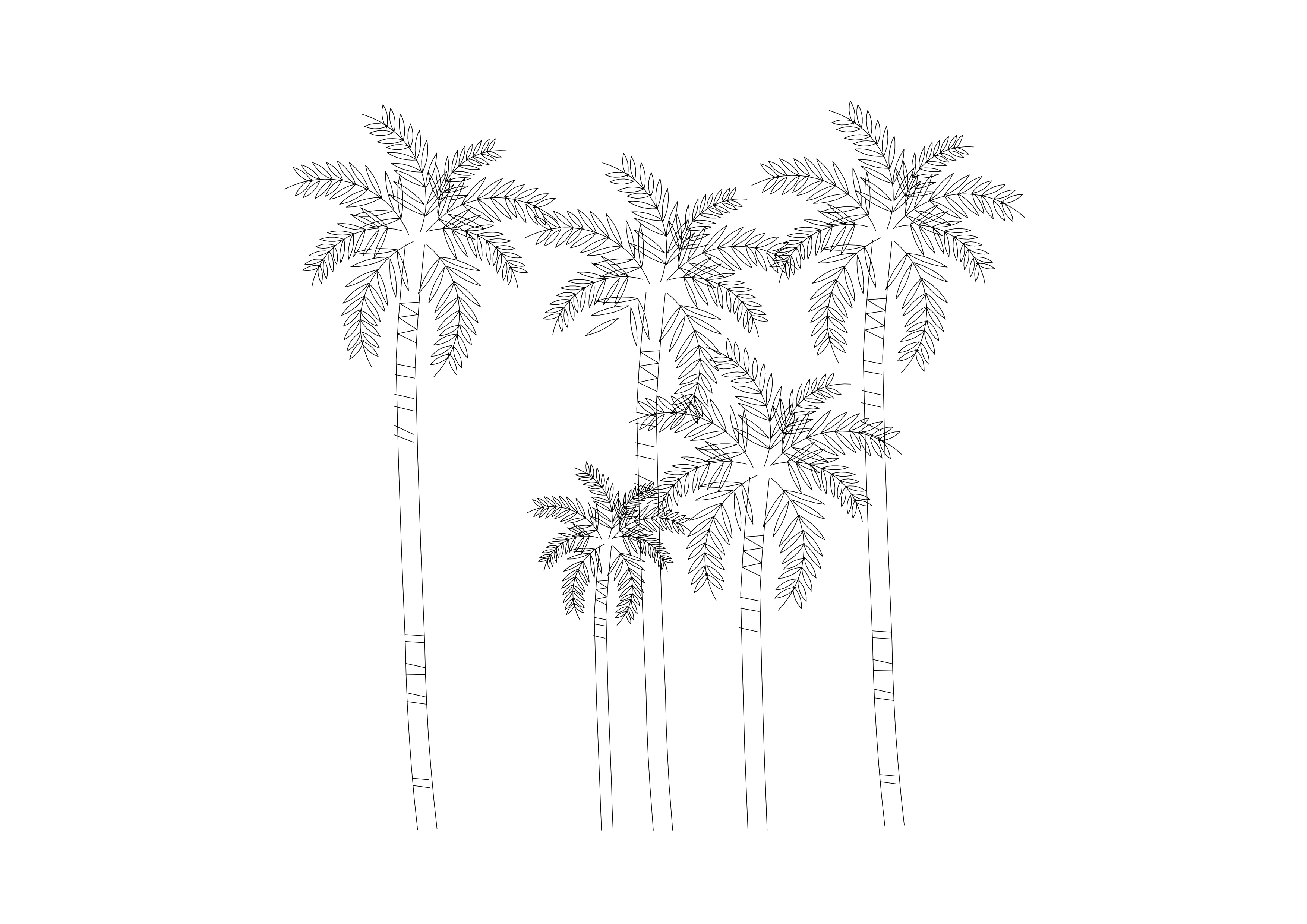 Free Palm Trees Elevation CAD Block – DWG, DXF, PDF Format