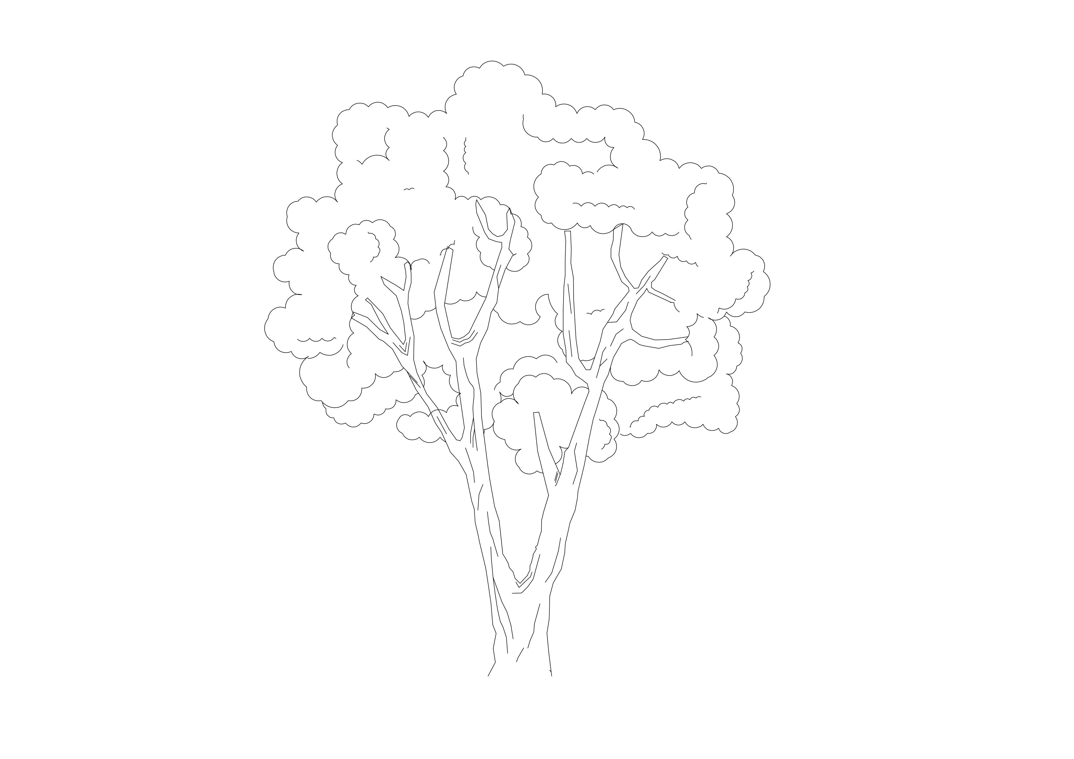 Free Tree Elevation CAD Block – DWG, DXF, PDF Format