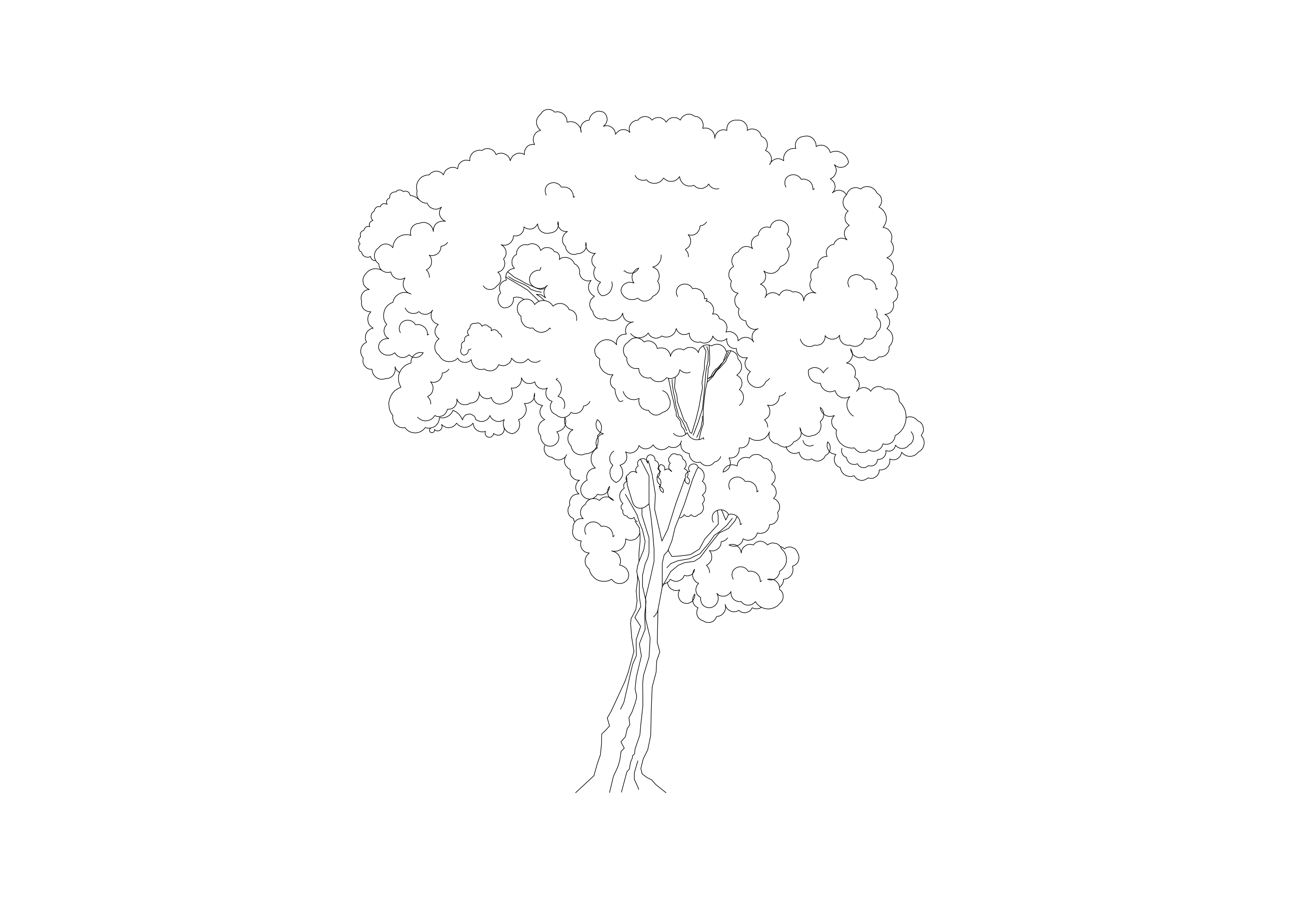 Free Tree Elevation CAD Block – DWG, DXF, PDF Format