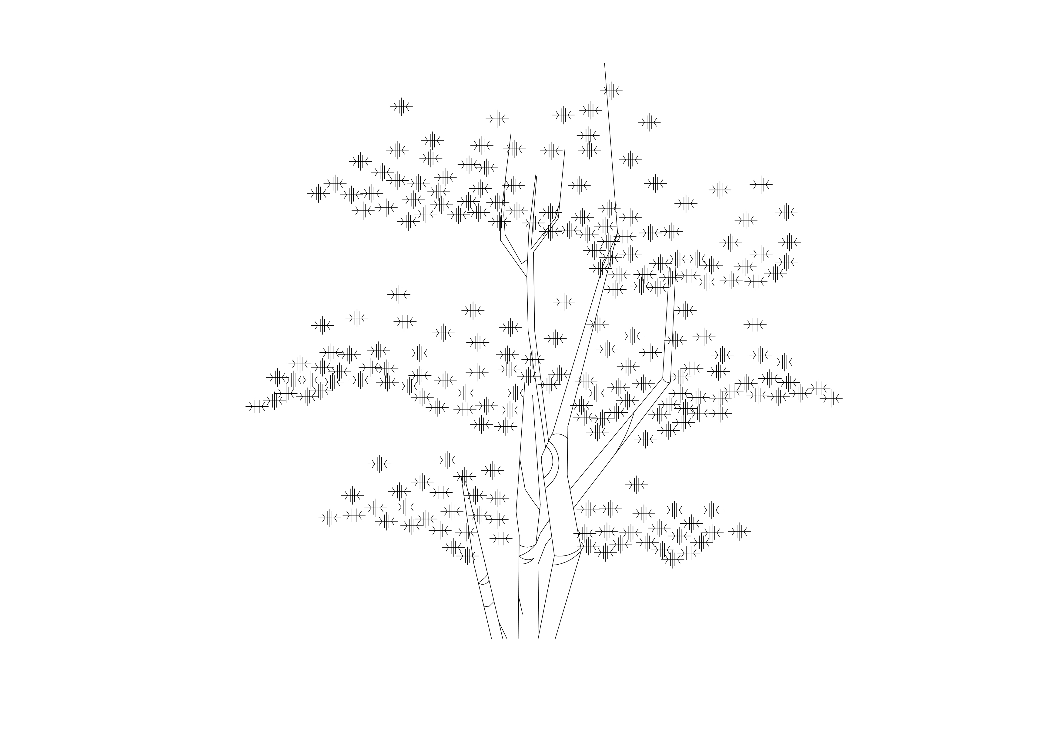 Free Tree Elevation CAD Block – DWG, DXF, PDF Format