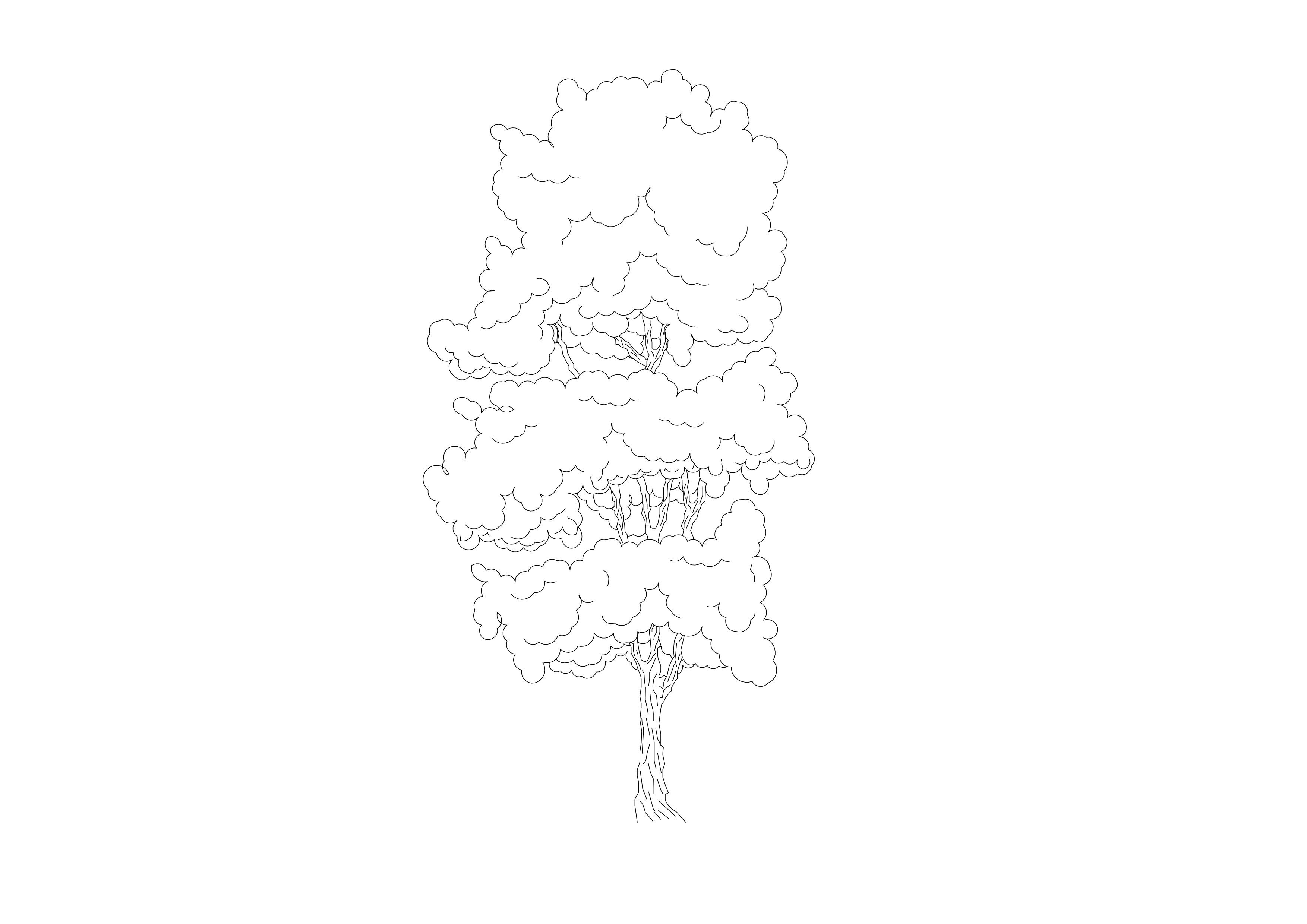 Free Tree Elevation CAD Block – DWG, DXF, PDF Format