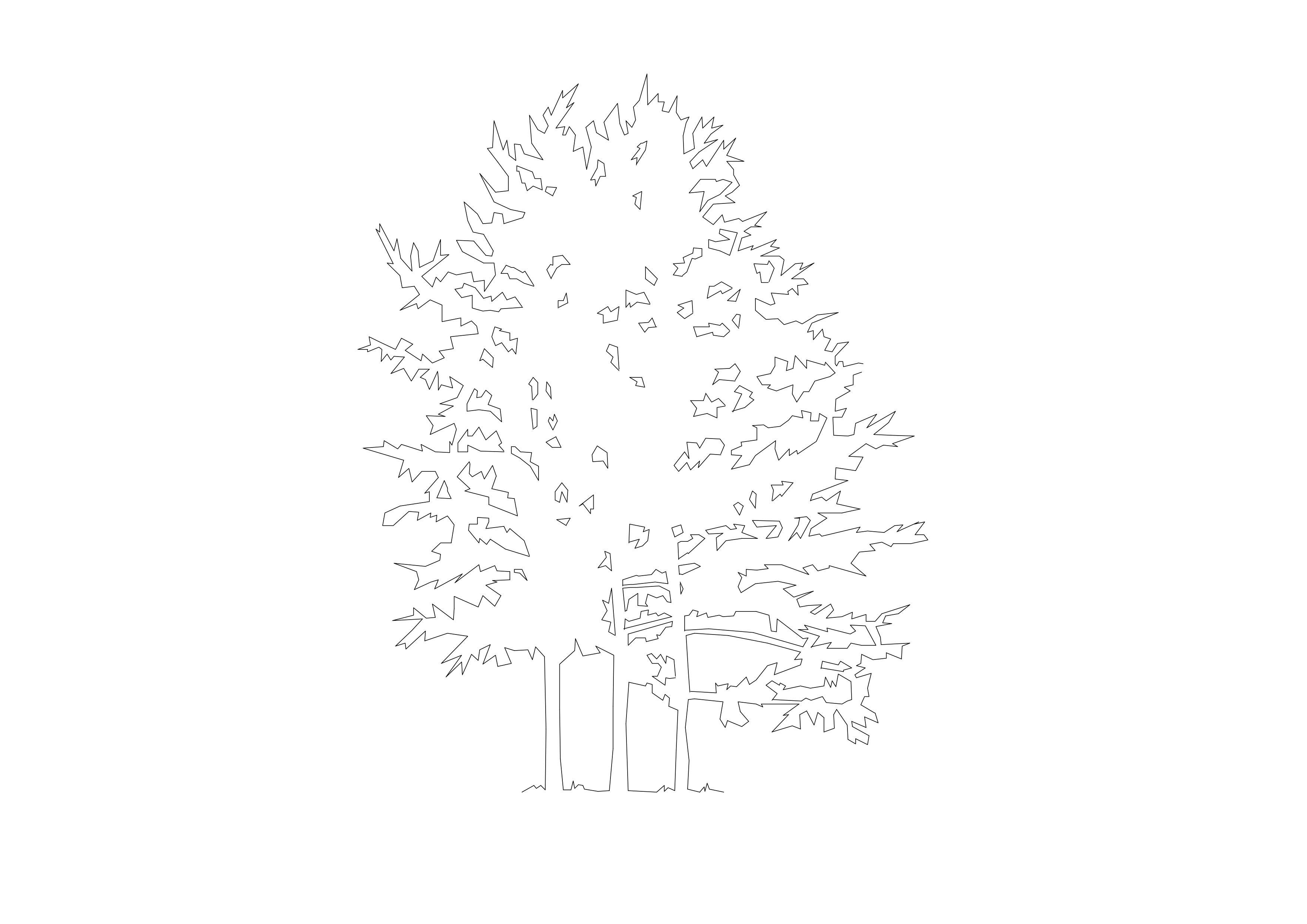 Free Tree Elevation CAD Block – DWG, DXF, PDF Format