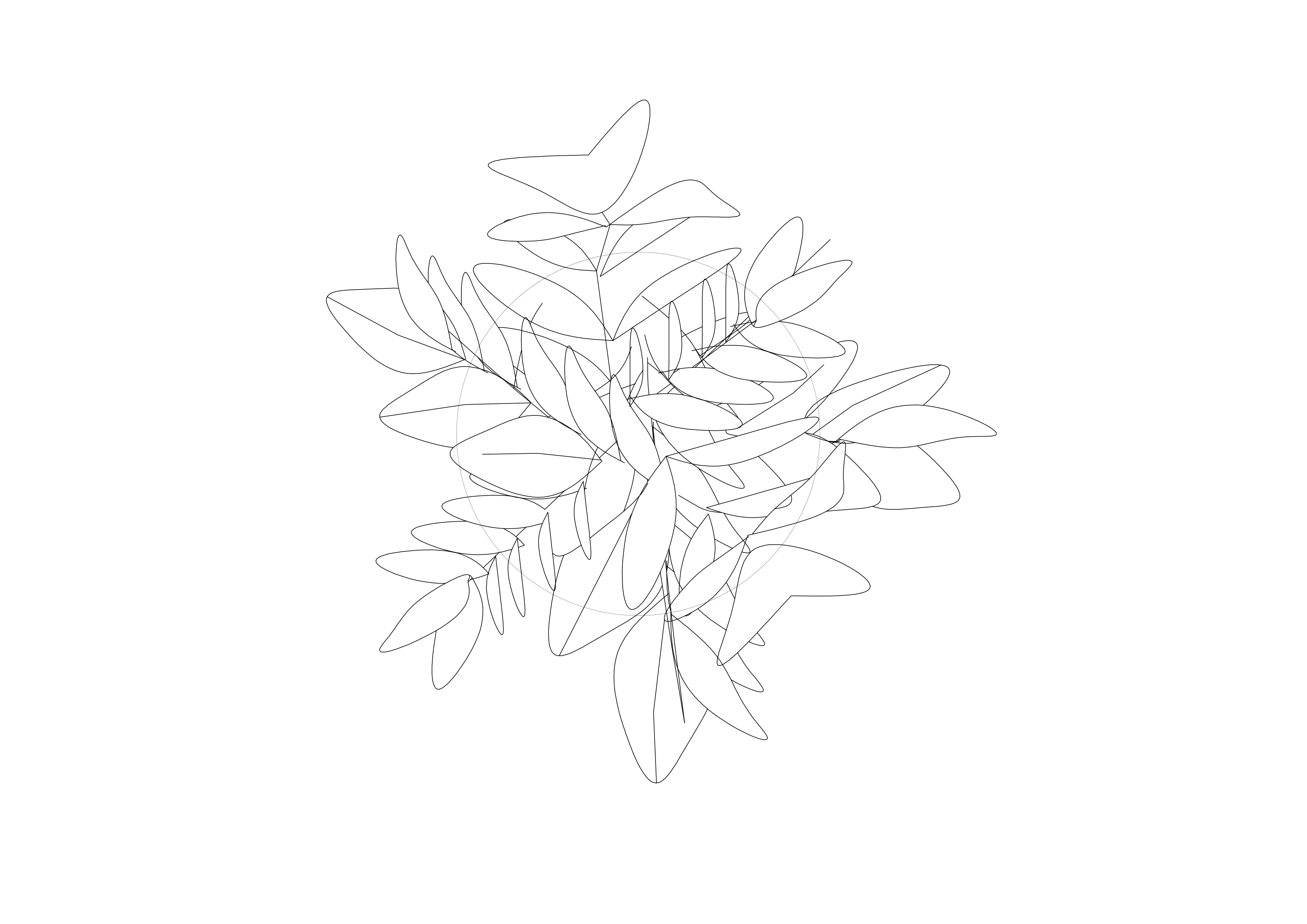 Free Tree Top View CAD Block – DWG, DXF, PDF Format