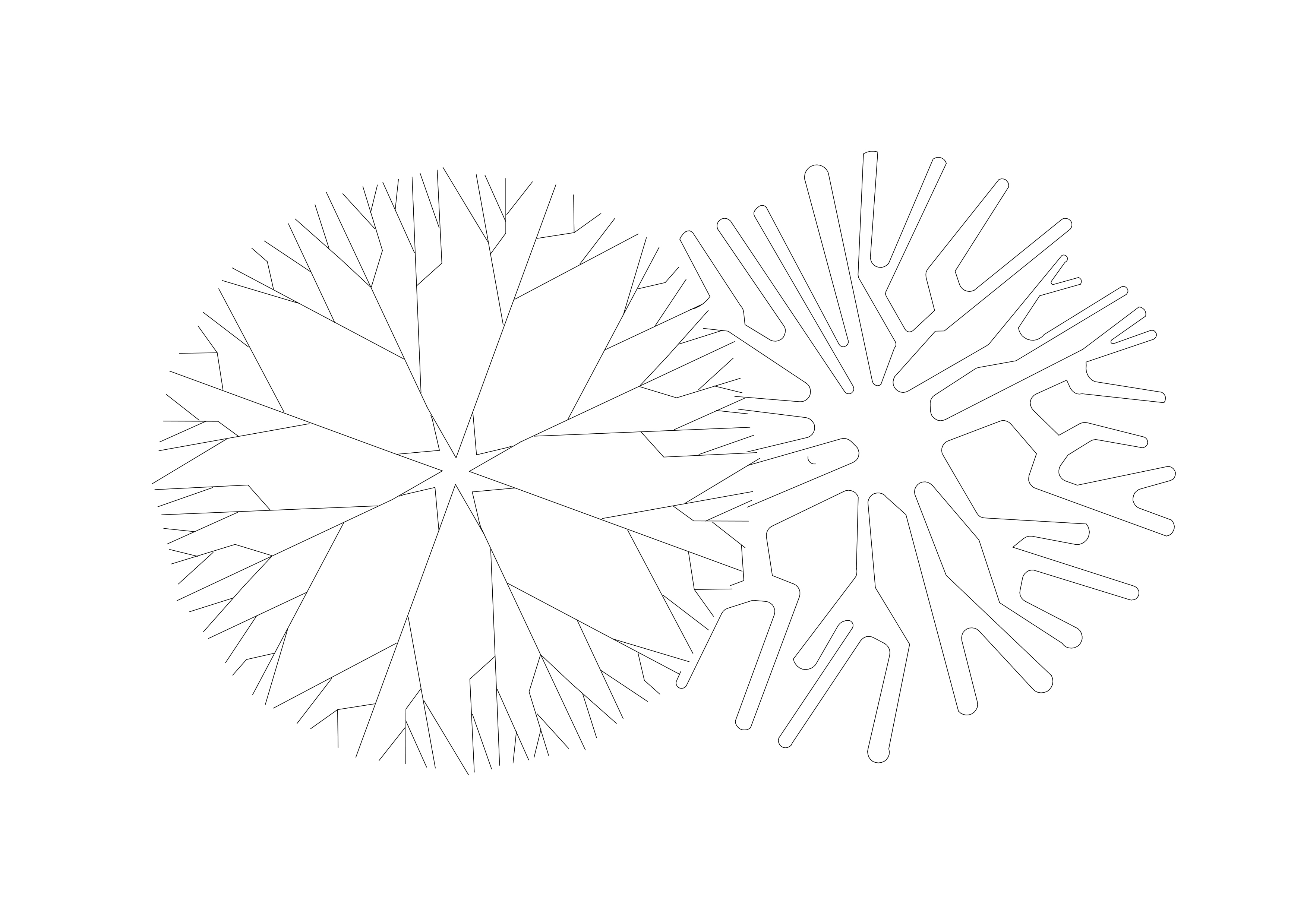 Free Two Trees Top View CAD Block – DWG, DXF, PDF Format