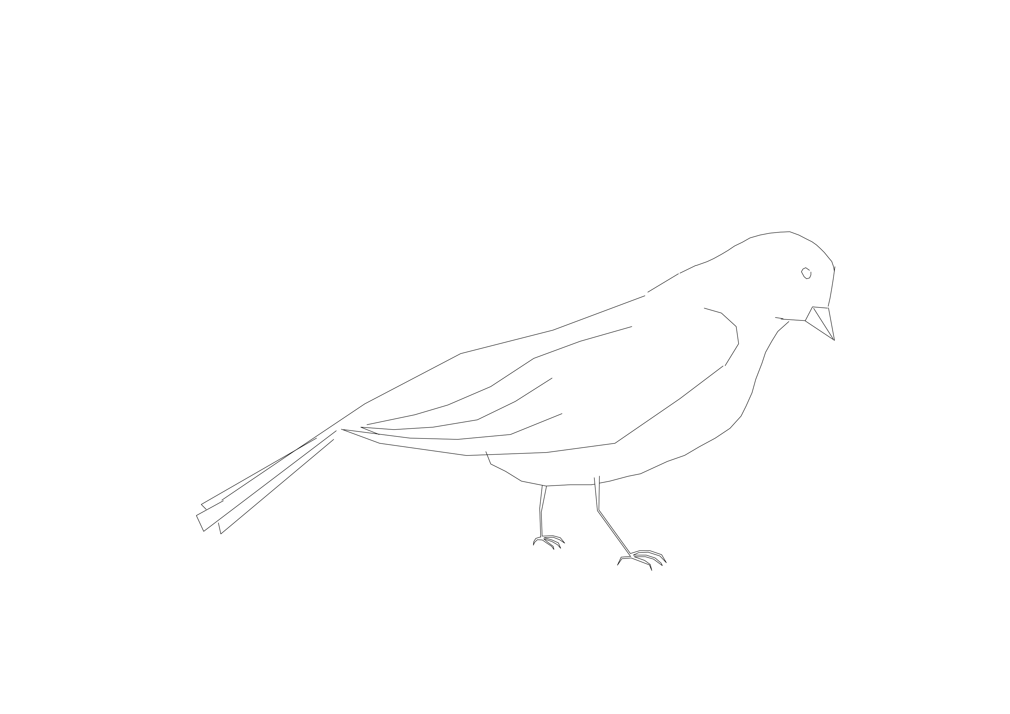 Free Bird CAD Block – DWG, DXF, PDF Format