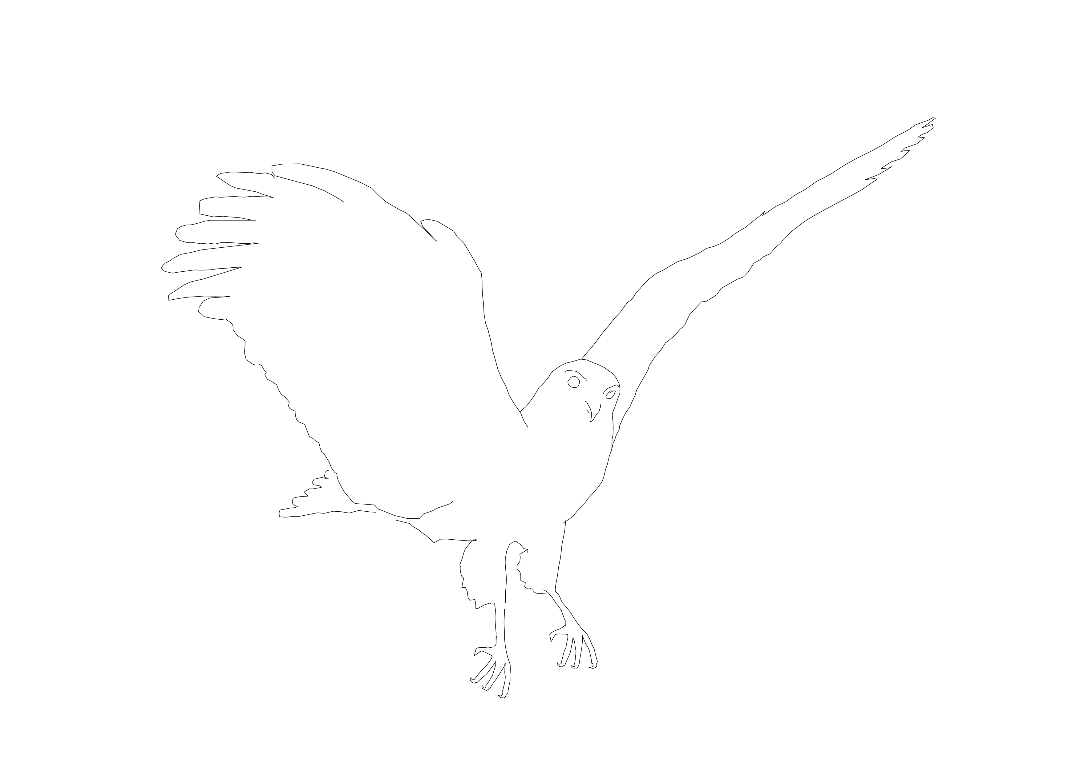 Free Bird CAD Block – DWG, DXF, PDF Format