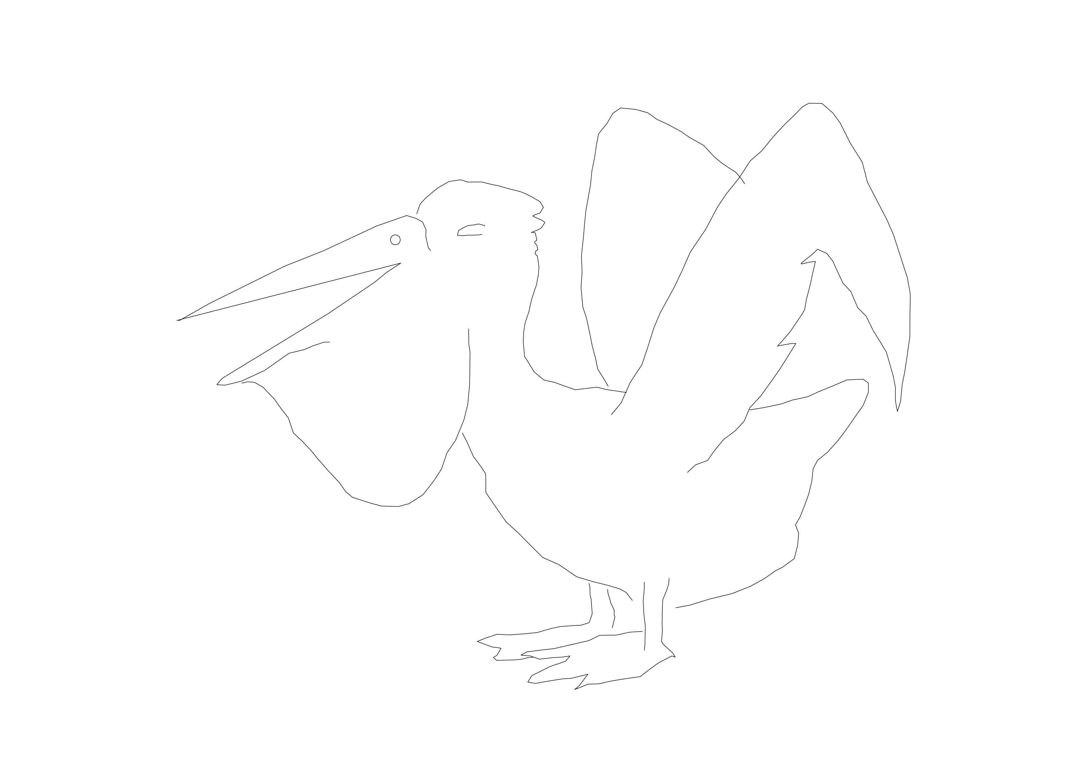 Free Bird CAD Block – DWG, DXF, PDF Format