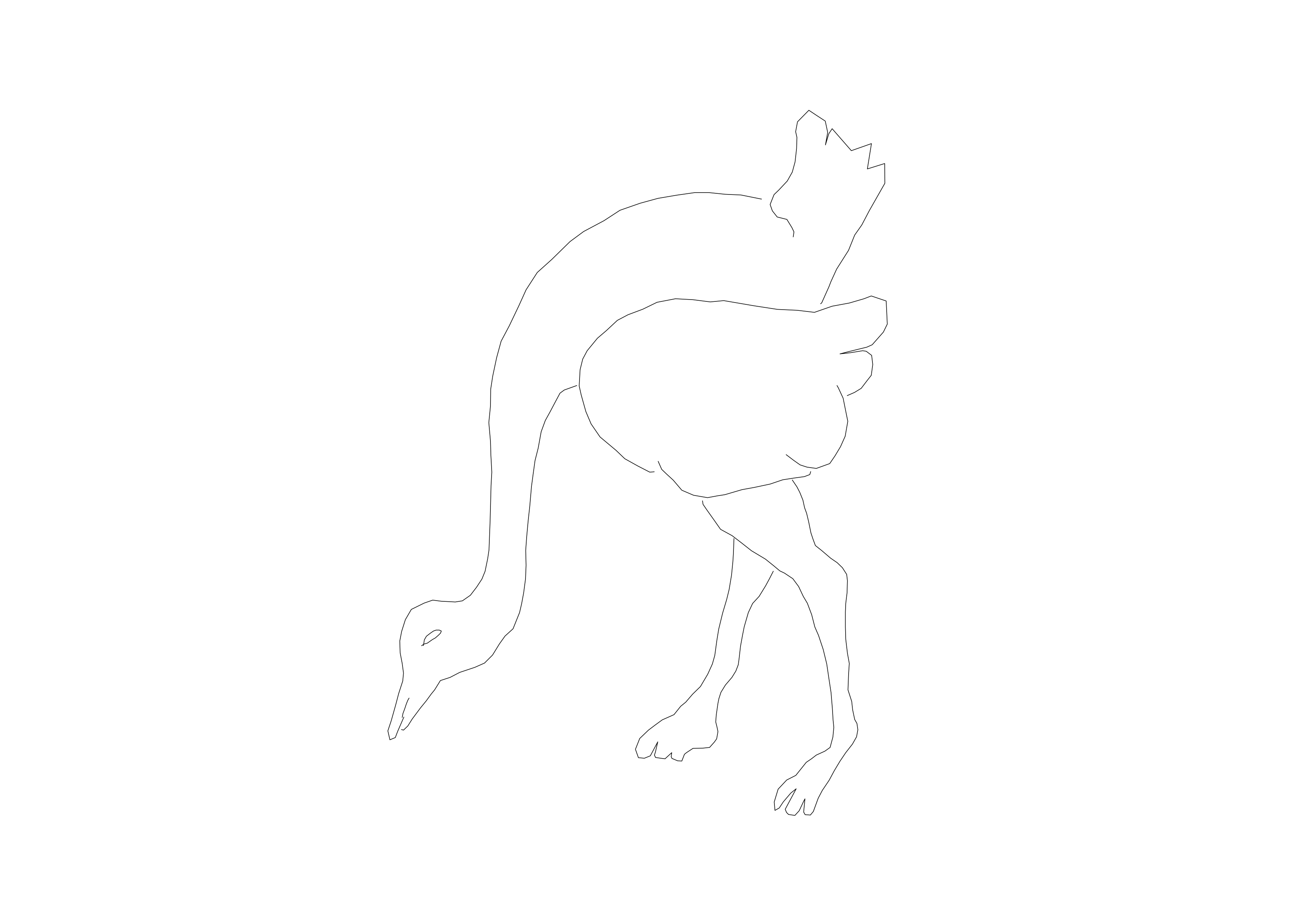 Free Bird CAD Block – DWG, DXF, PDF Format