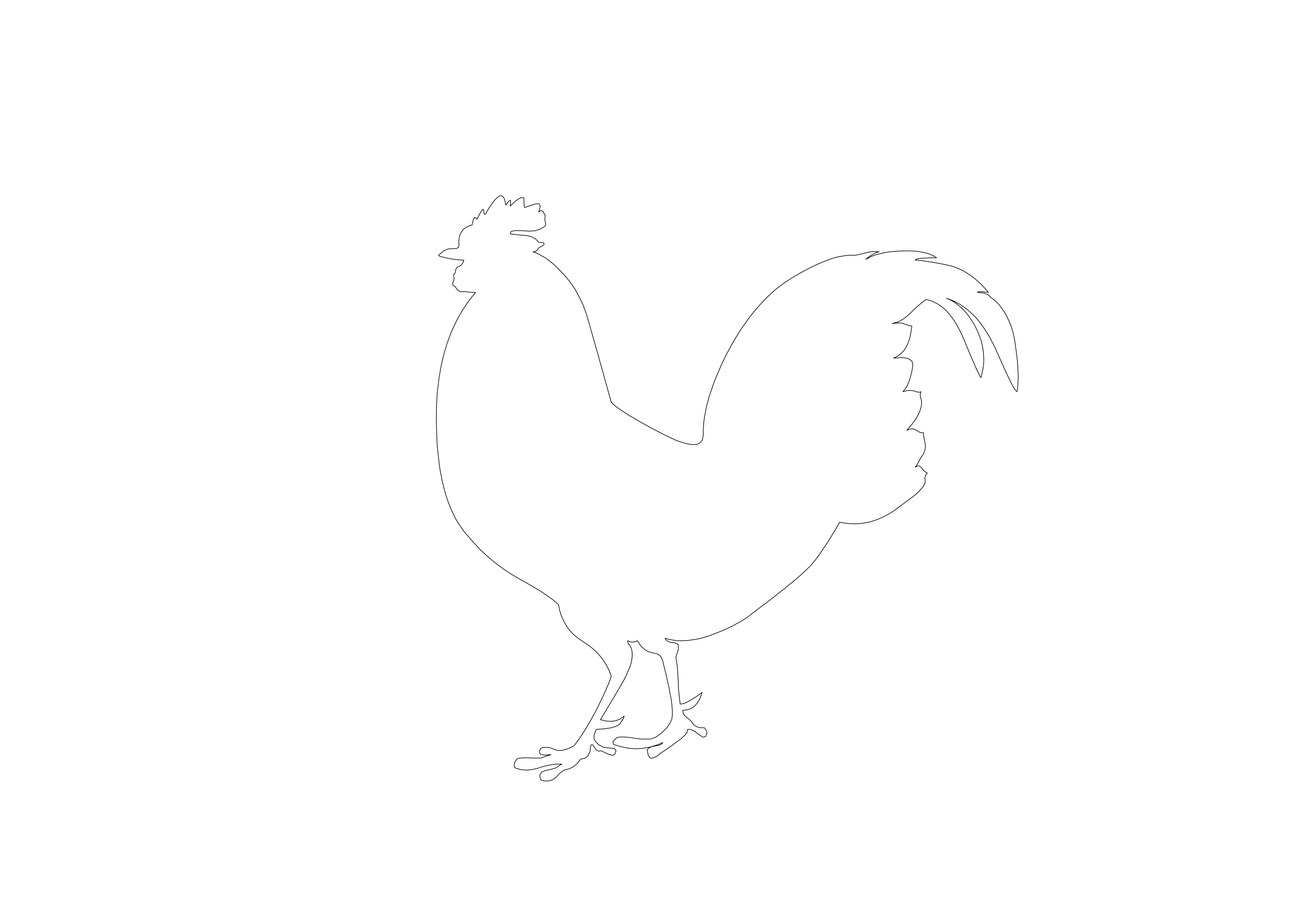 Free Bird CAD Block – DWG, DXF, PDF Format