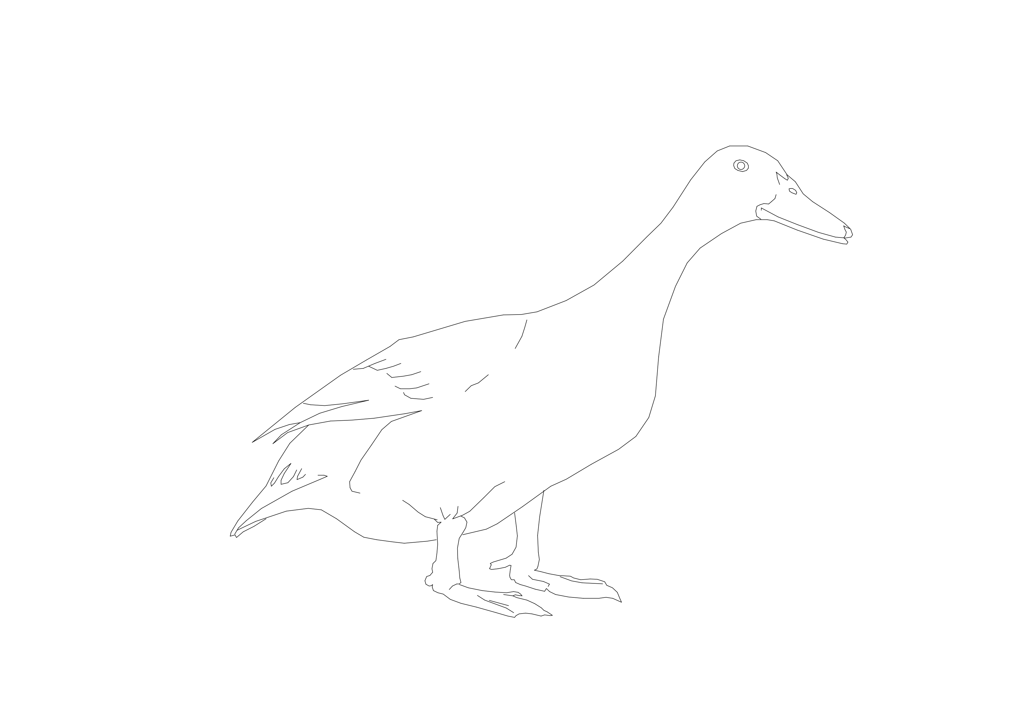 Free Bird CAD Block – DWG, DXF, PDF Format