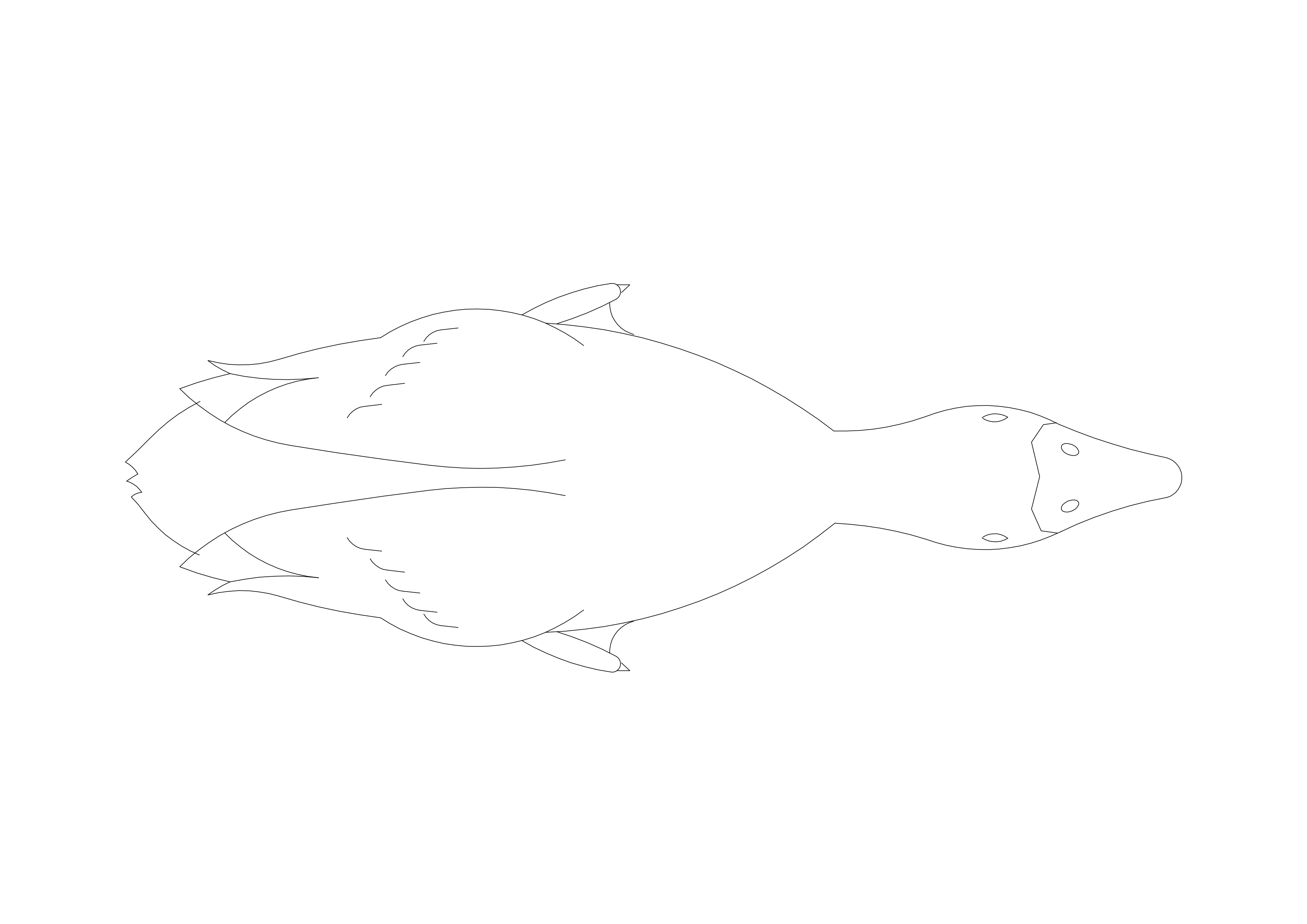 Free Bird CAD Block – DWG, DXF, PDF Format