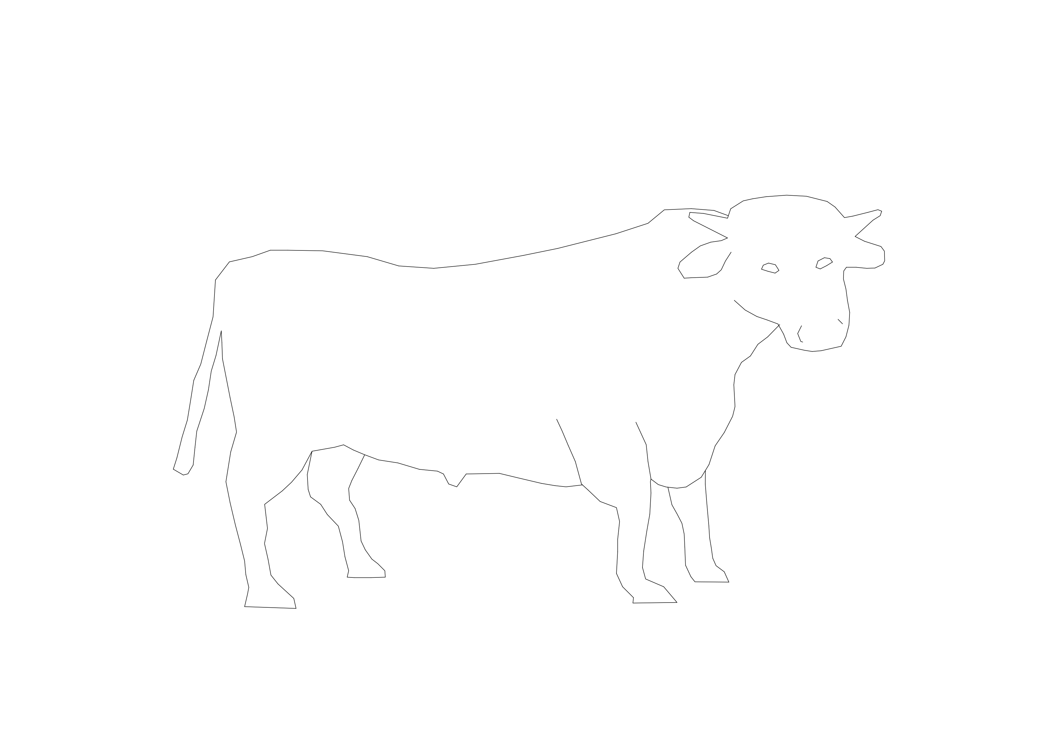 Free Bull CAD Block – DWG, DXF, PDF Format