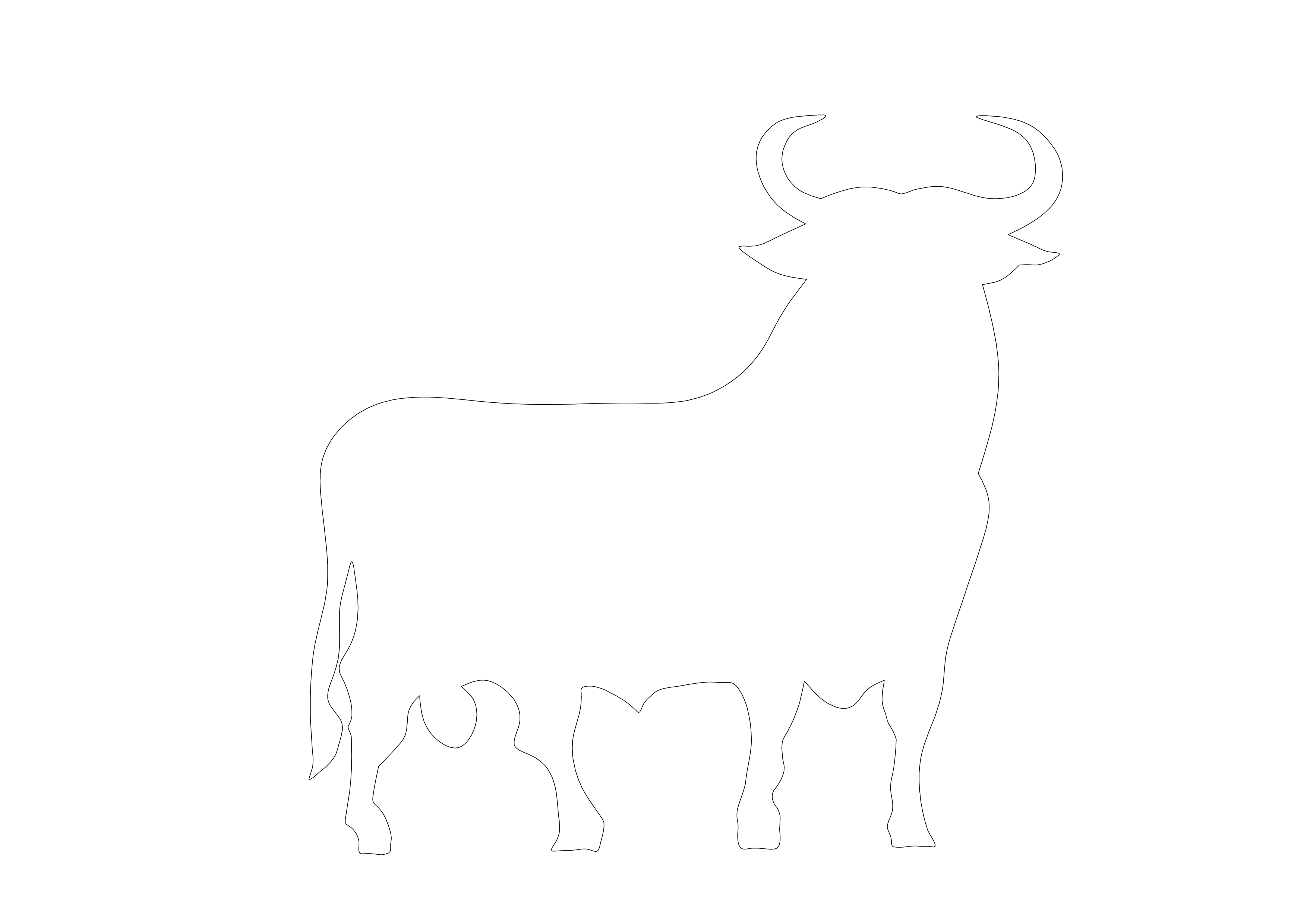 Free Bull CAD Block – DWG, DXF, PDF Format