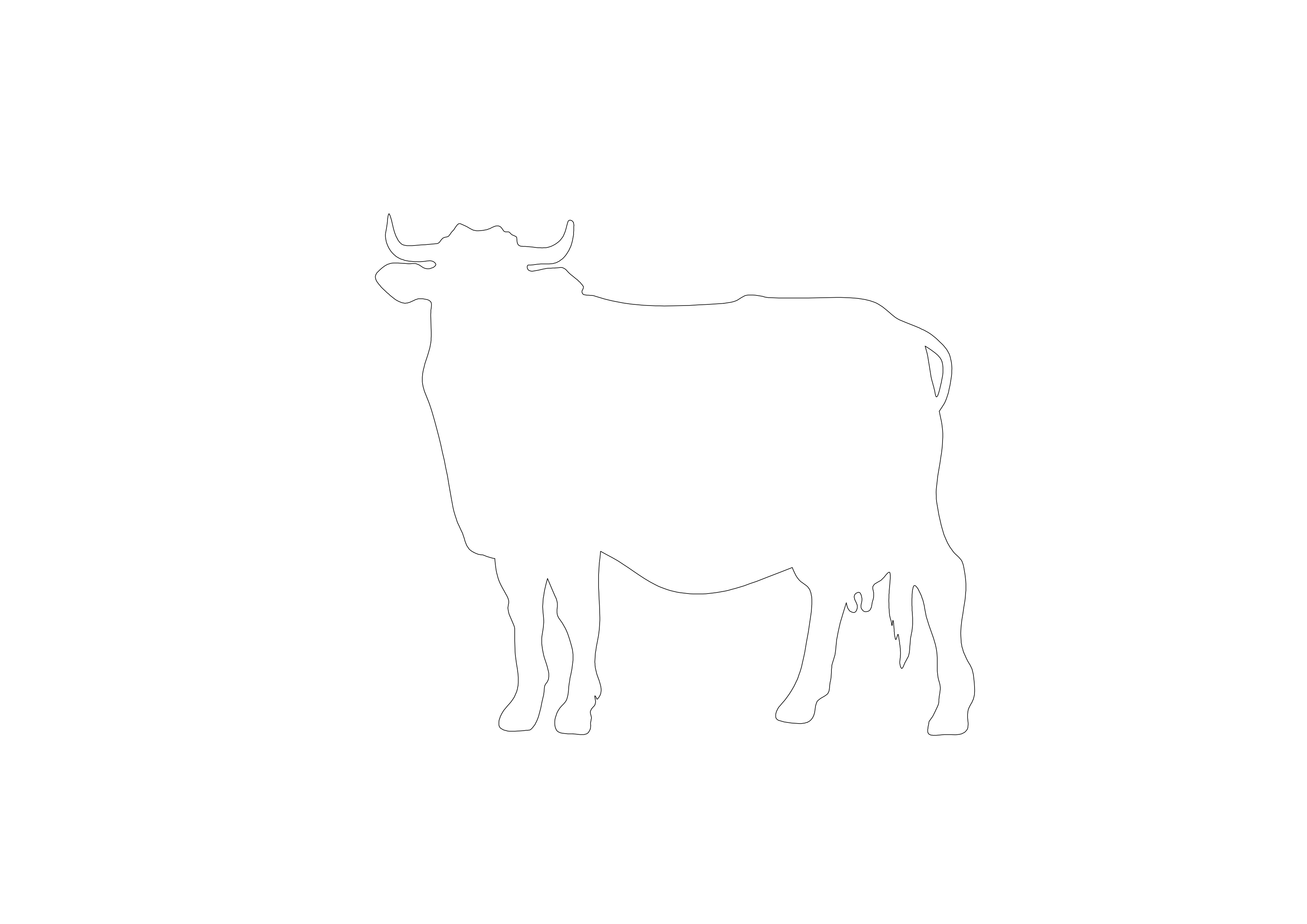 Free Cow CAD Block – DWG, DXF, PDF Format
