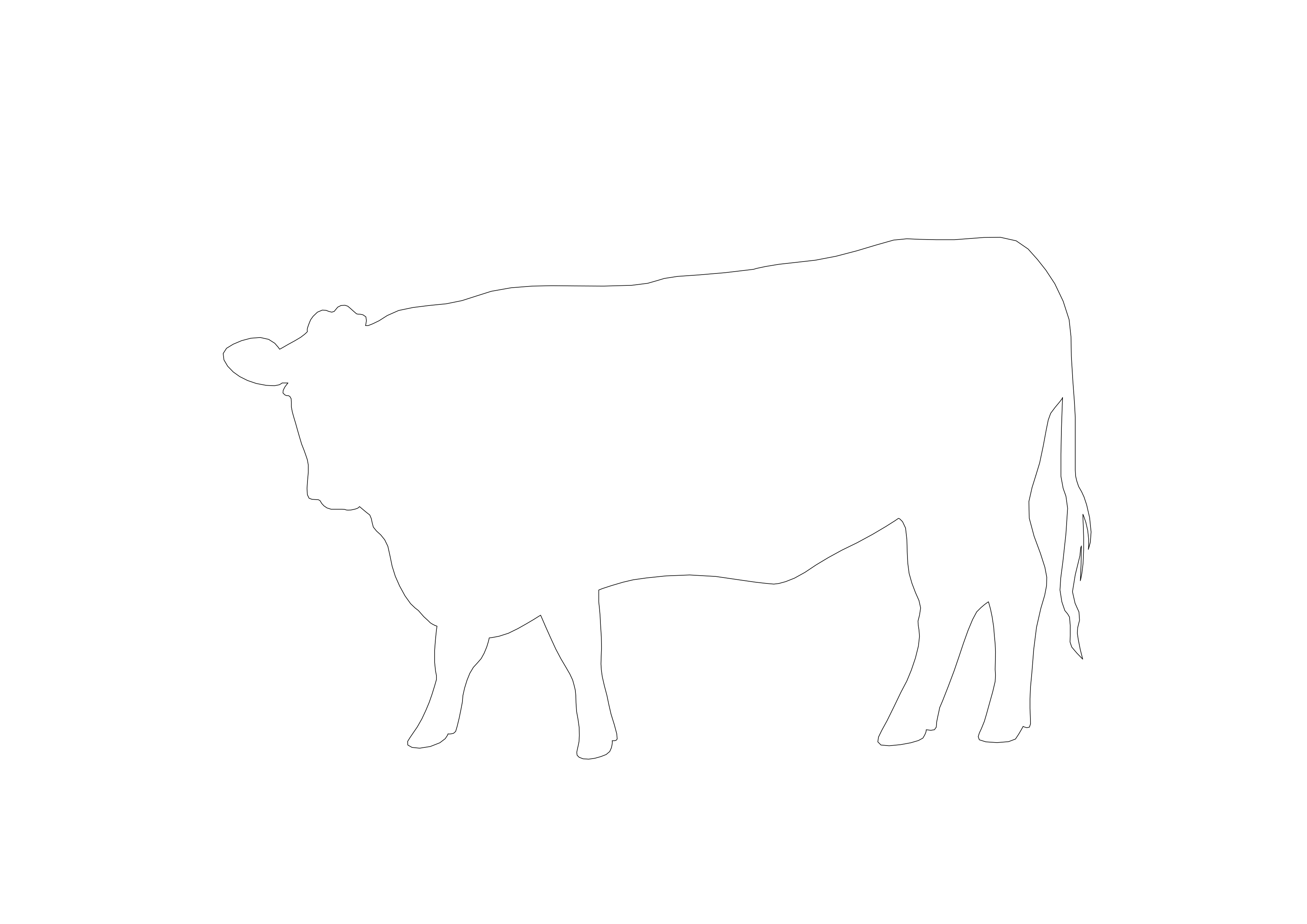 Free Cow CAD Block – DWG, DXF, PDF Format
