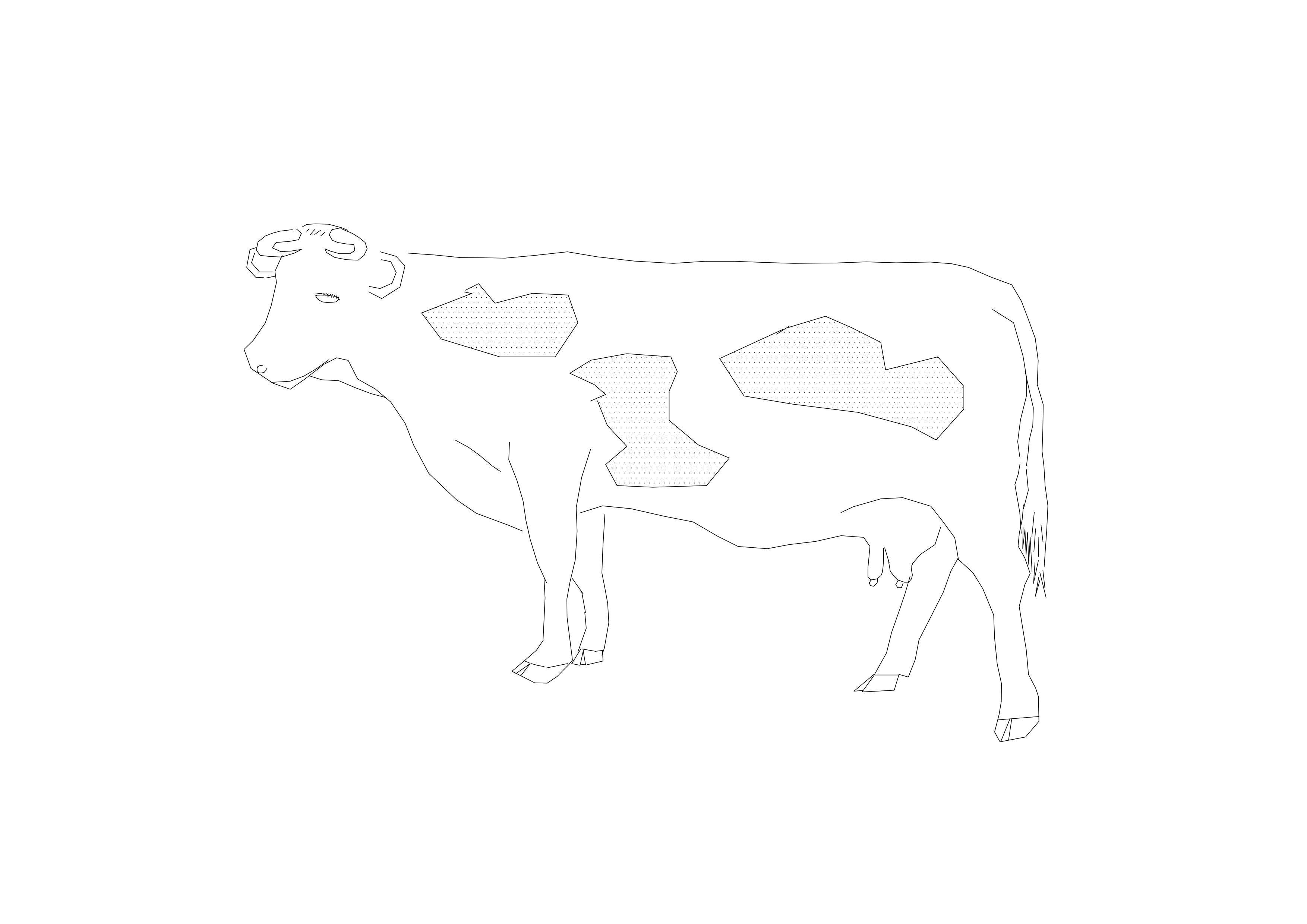 Free Cow CAD Block – DWG, DXF, PDF Format