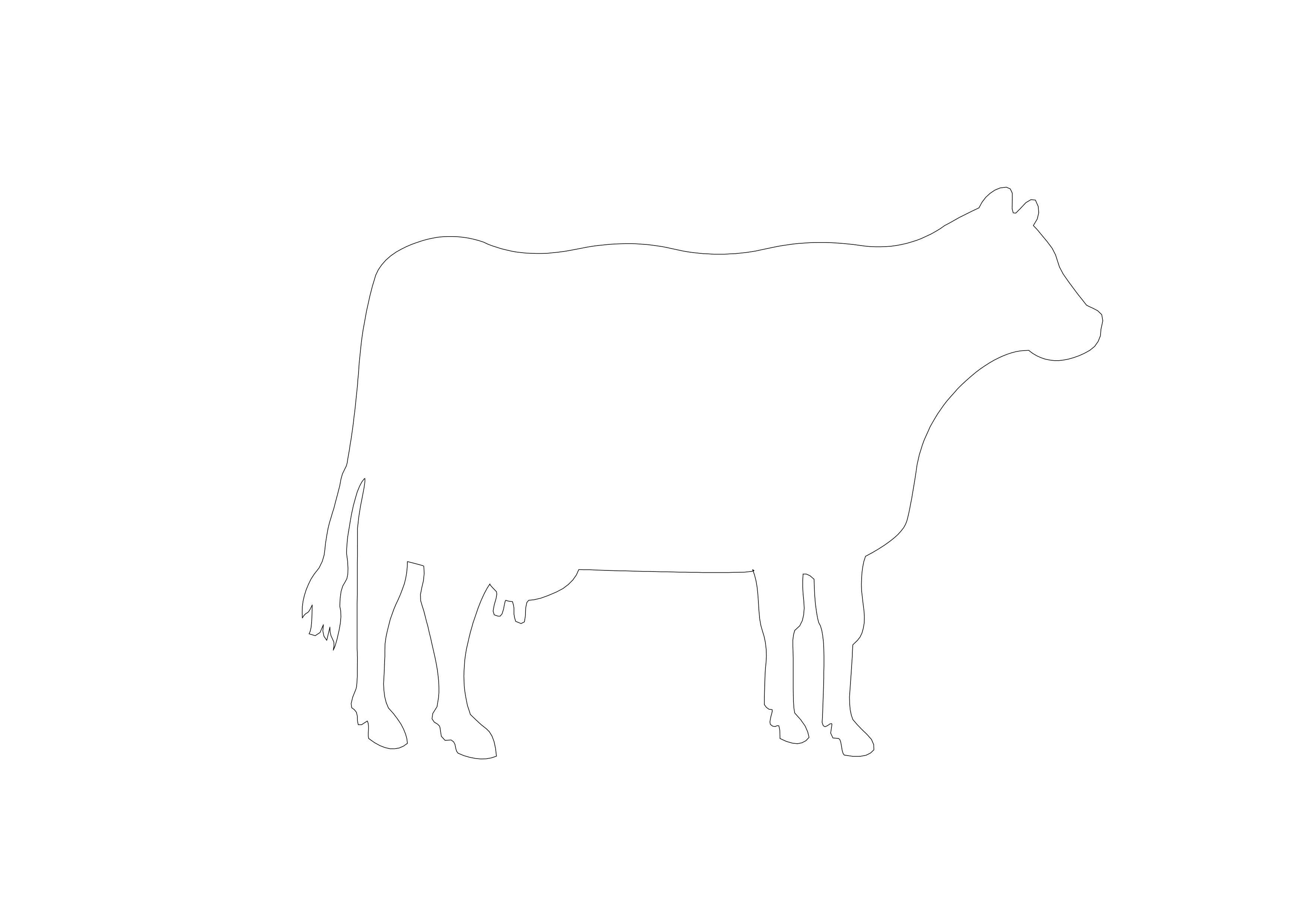 Free Cow CAD Block – DWG, DXF, PDF Format