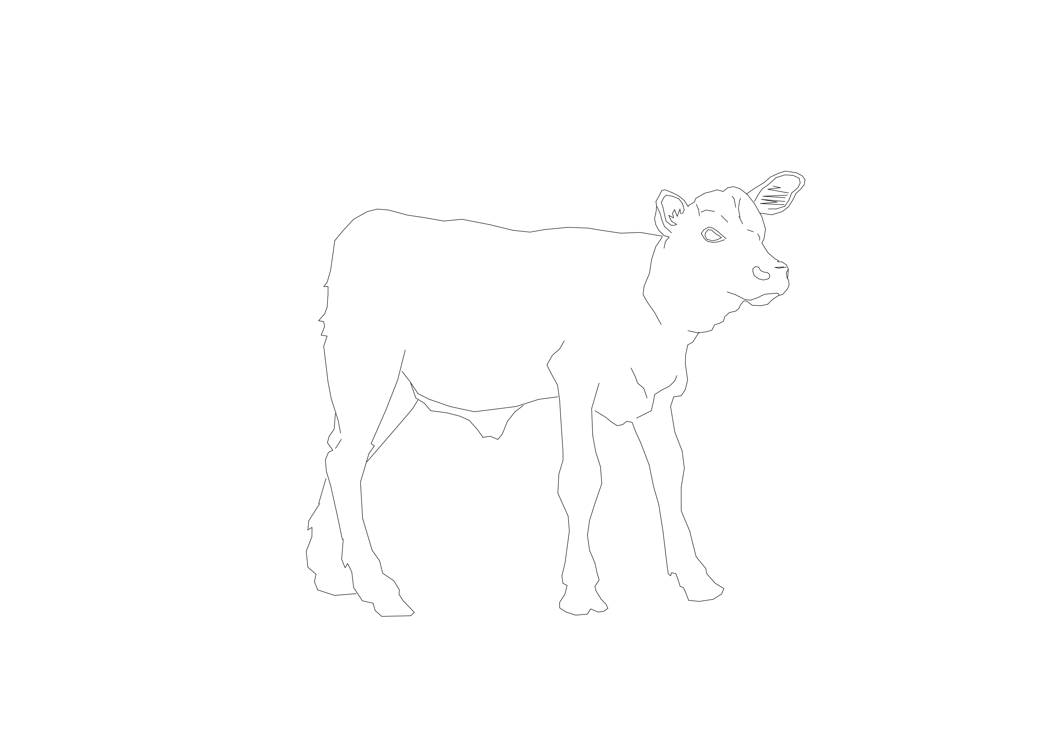 Free Cow CAD Block – DWG, DXF, PDF Format