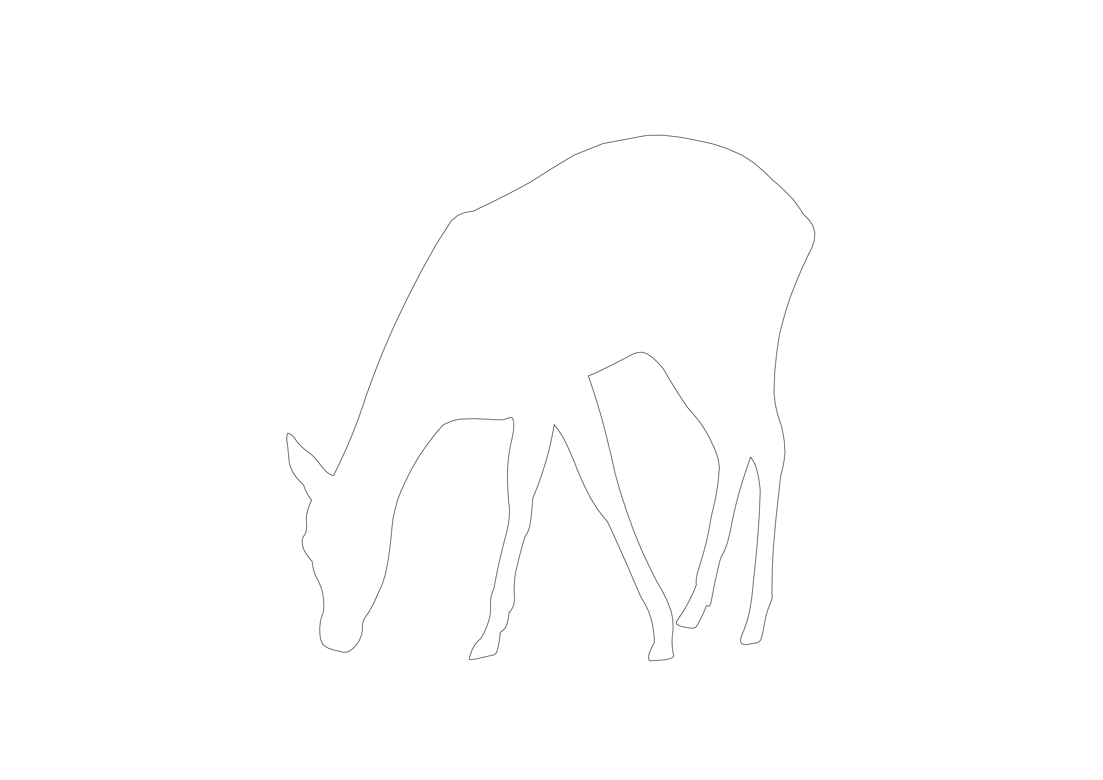 Free Deer CAD Block – DWG, DXF, PDF Format