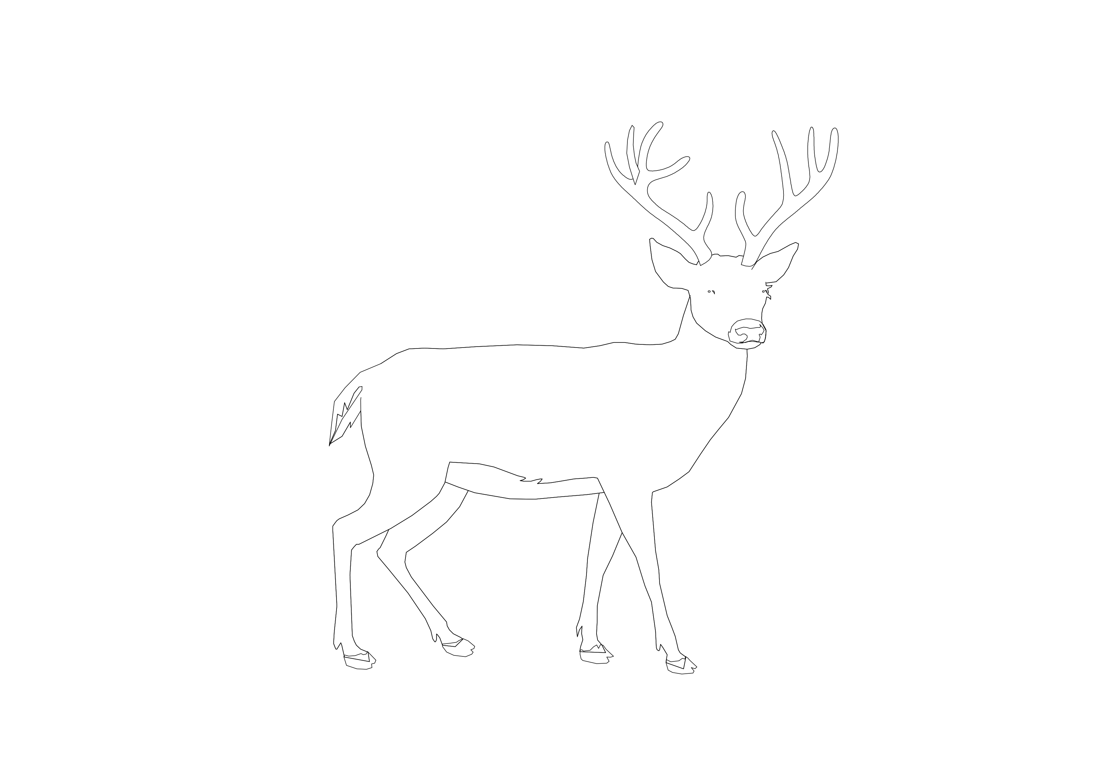 Free Deer CAD Block – DWG, DXF, PDF Format