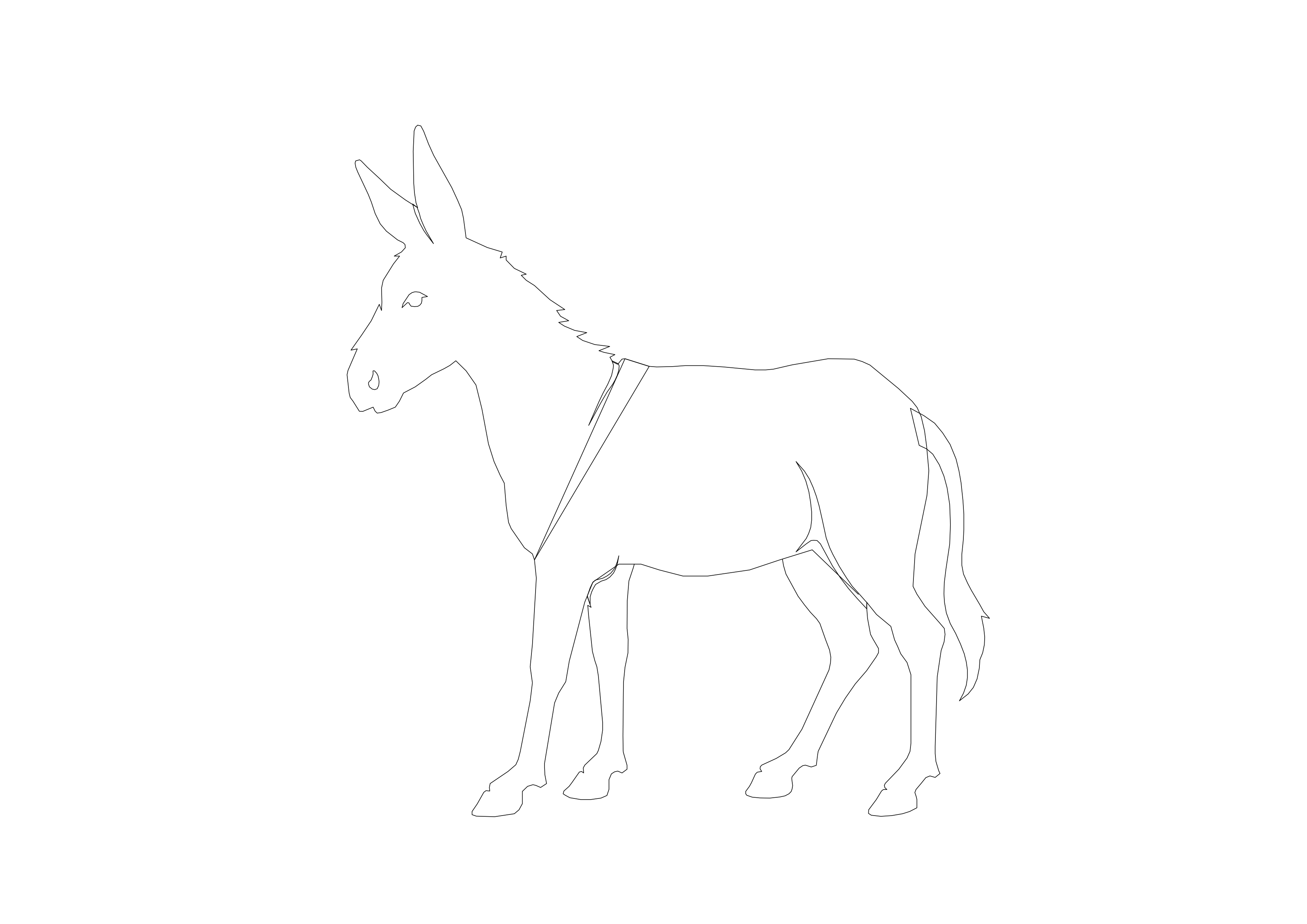 Free Donkey CAD Block – DWG, DXF, PDF Format