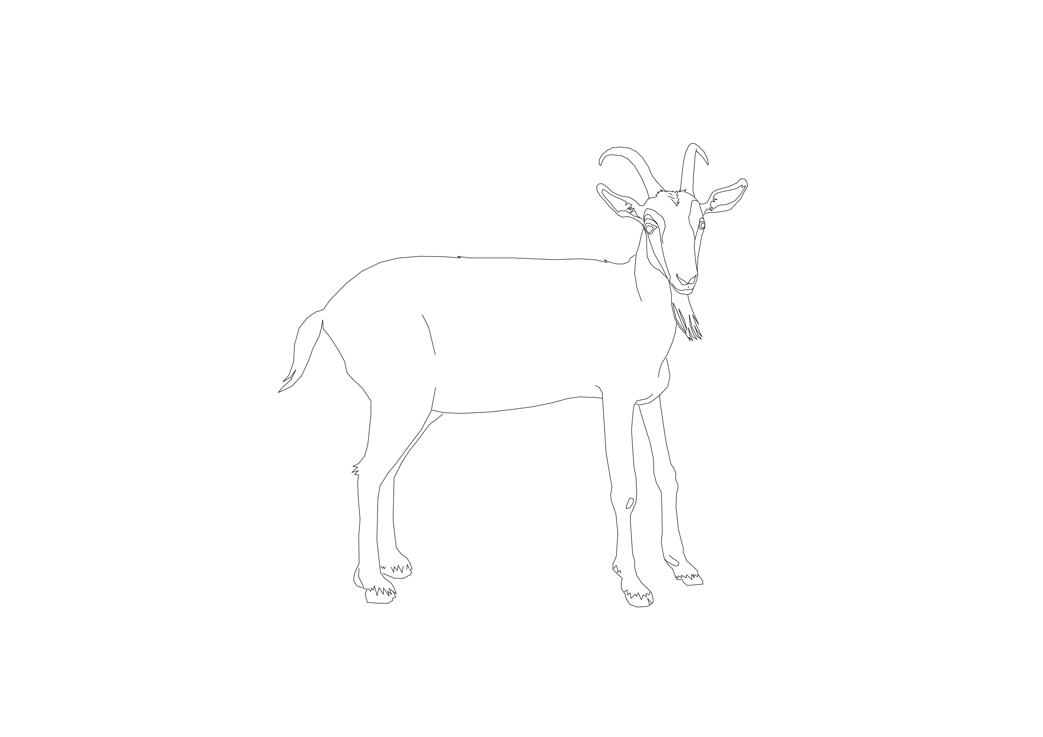 Free Goat CAD Block – DWG, DXF, PDF Format